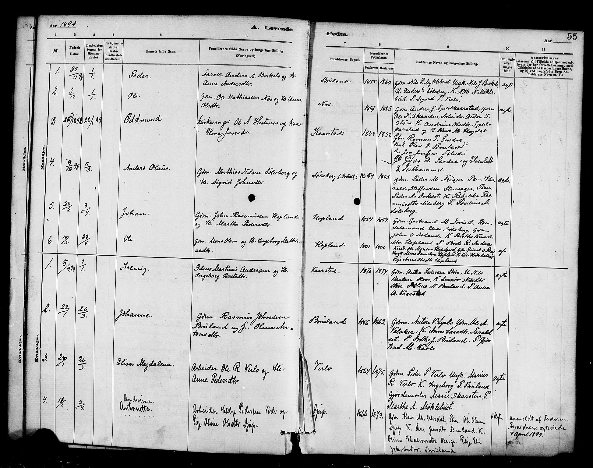 Innvik sokneprestembete, AV/SAB-A-80501: Parish register (official) no. D 1, 1879-1900, p. 55