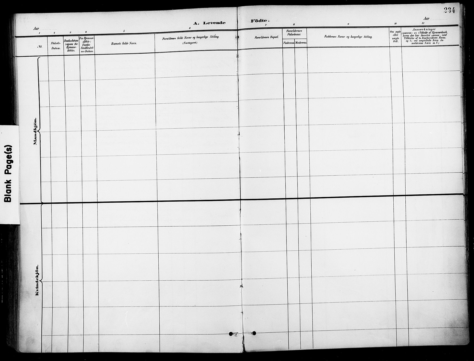 Jakob prestekontor Kirkebøker, SAO/A-10850/F/Fa/L0005: Parish register (official) no. 5, 1896-1903, p. 234