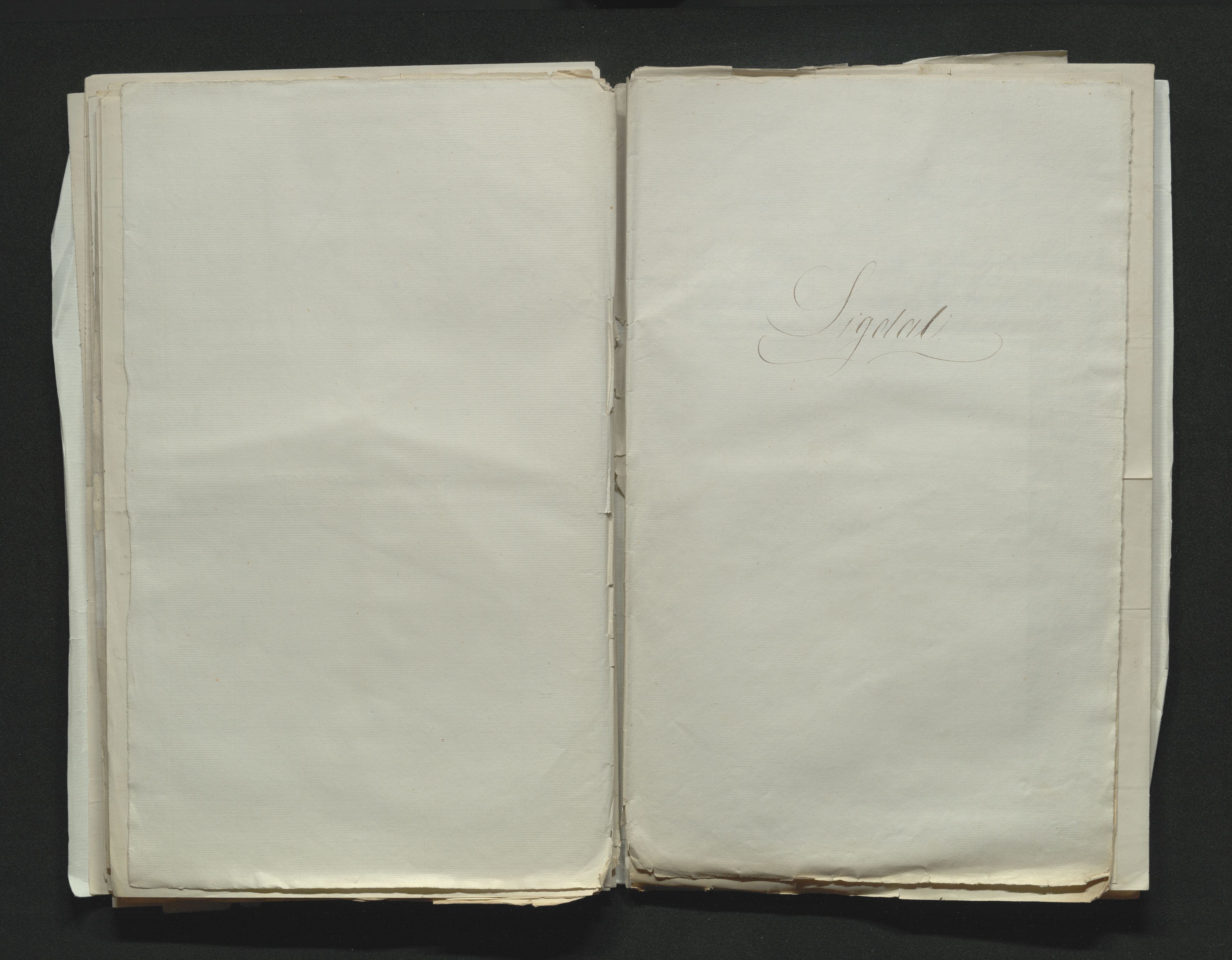 Eiker, Modum og Sigdal sorenskriveri, SAKO/A-123/H/Ha/Hab/L0010: Dødsfallsmeldinger, 1858-1861, p. 479
