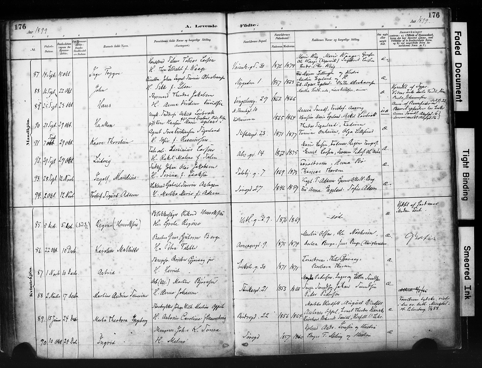 St. Petri sokneprestkontor, SAST/A-101813/001/30/30BA/L0019: Parish register (official) no. A 20, 1888-1901, p. 176