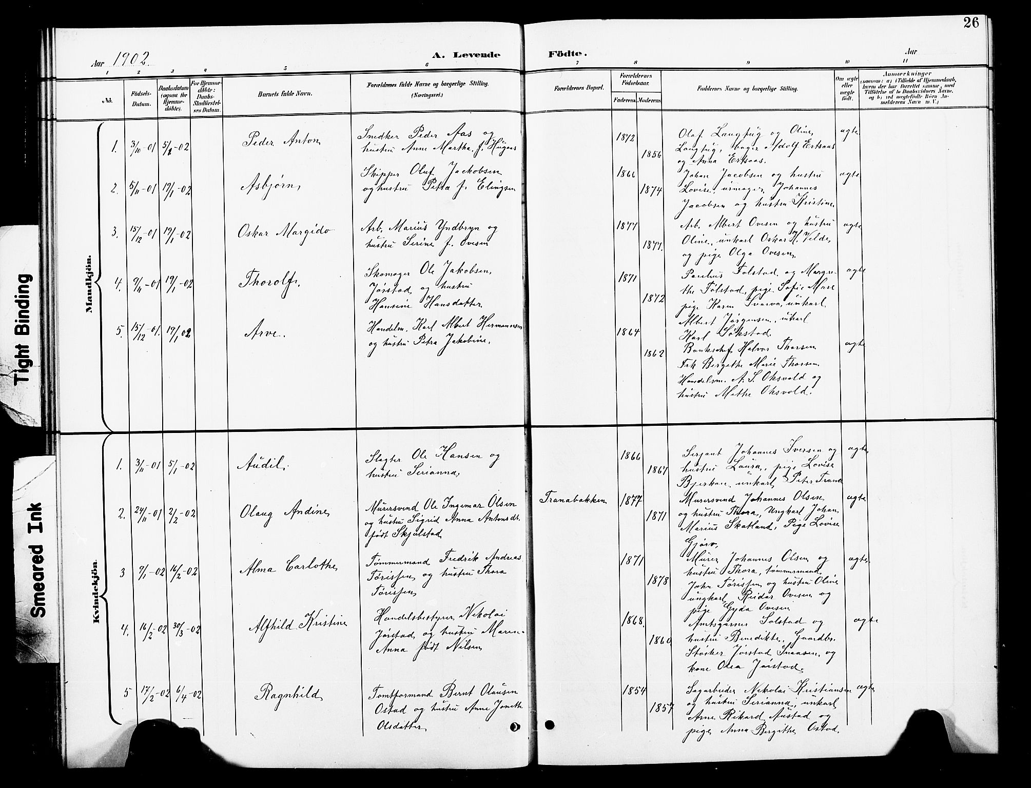 Ministerialprotokoller, klokkerbøker og fødselsregistre - Nord-Trøndelag, SAT/A-1458/739/L0375: Parish register (copy) no. 739C03, 1898-1908, p. 26