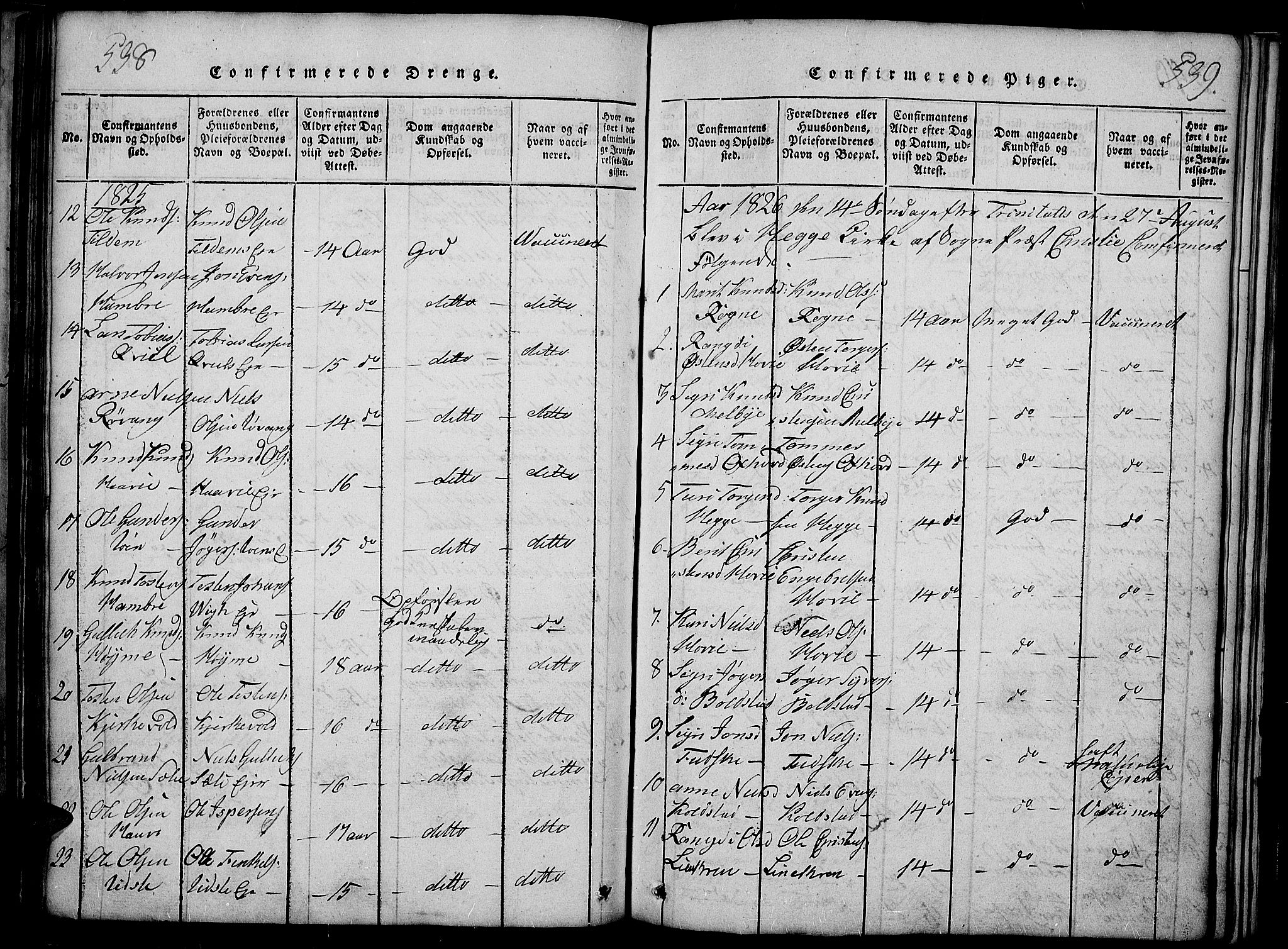 Slidre prestekontor, SAH/PREST-134/H/Ha/Haa/L0002: Parish register (official) no. 2, 1814-1830, p. 538-539