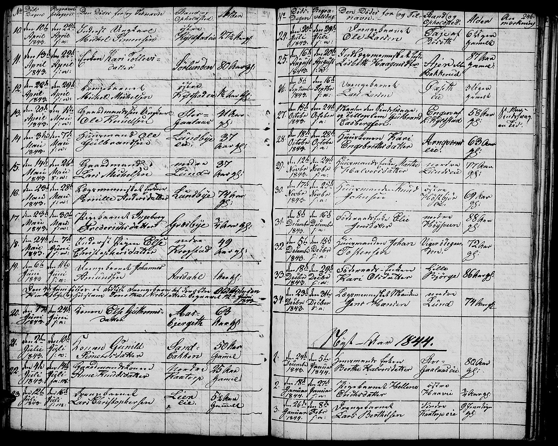 Vang prestekontor, Hedmark, SAH/PREST-008/H/Ha/Hab/L0009: Parish register (copy) no. 9, 1836-1870, p. 246