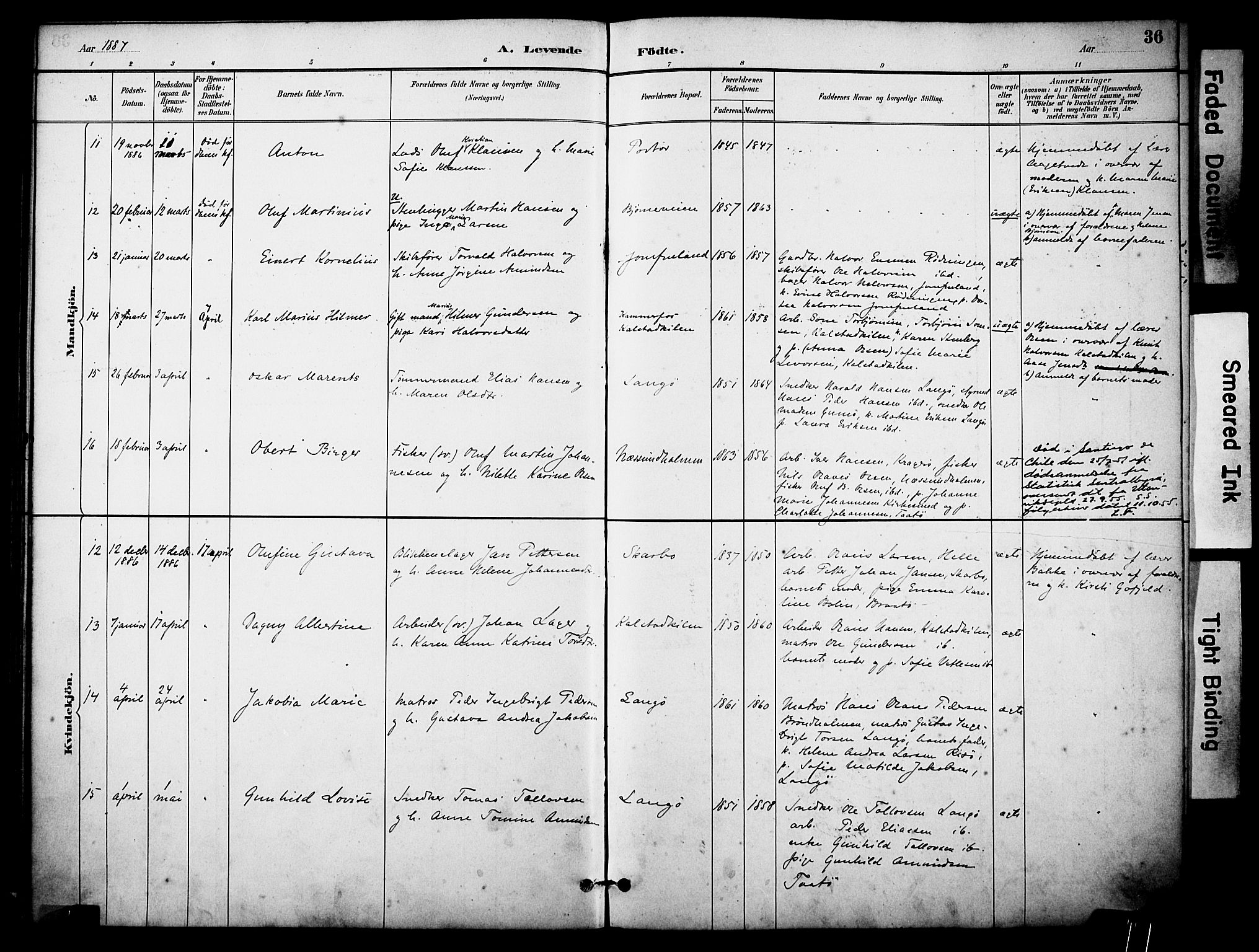 Skåtøy kirkebøker, SAKO/A-304/F/Fa/L0002: Parish register (official) no. I 2, 1884-1899, p. 36