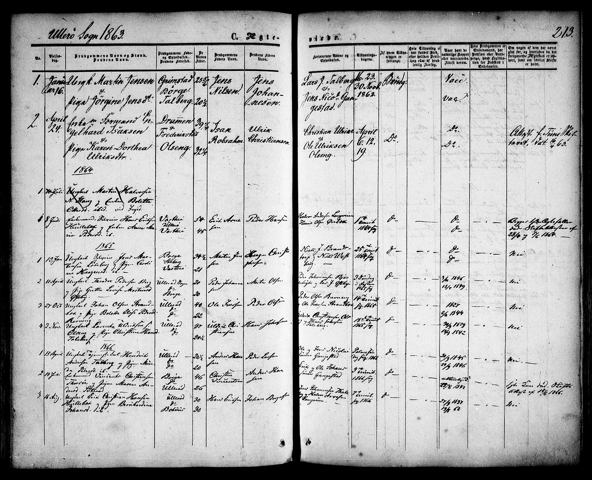 Skjeberg prestekontor Kirkebøker, SAO/A-10923/F/Fa/L0007: Parish register (official) no. I 7, 1859-1868, p. 213