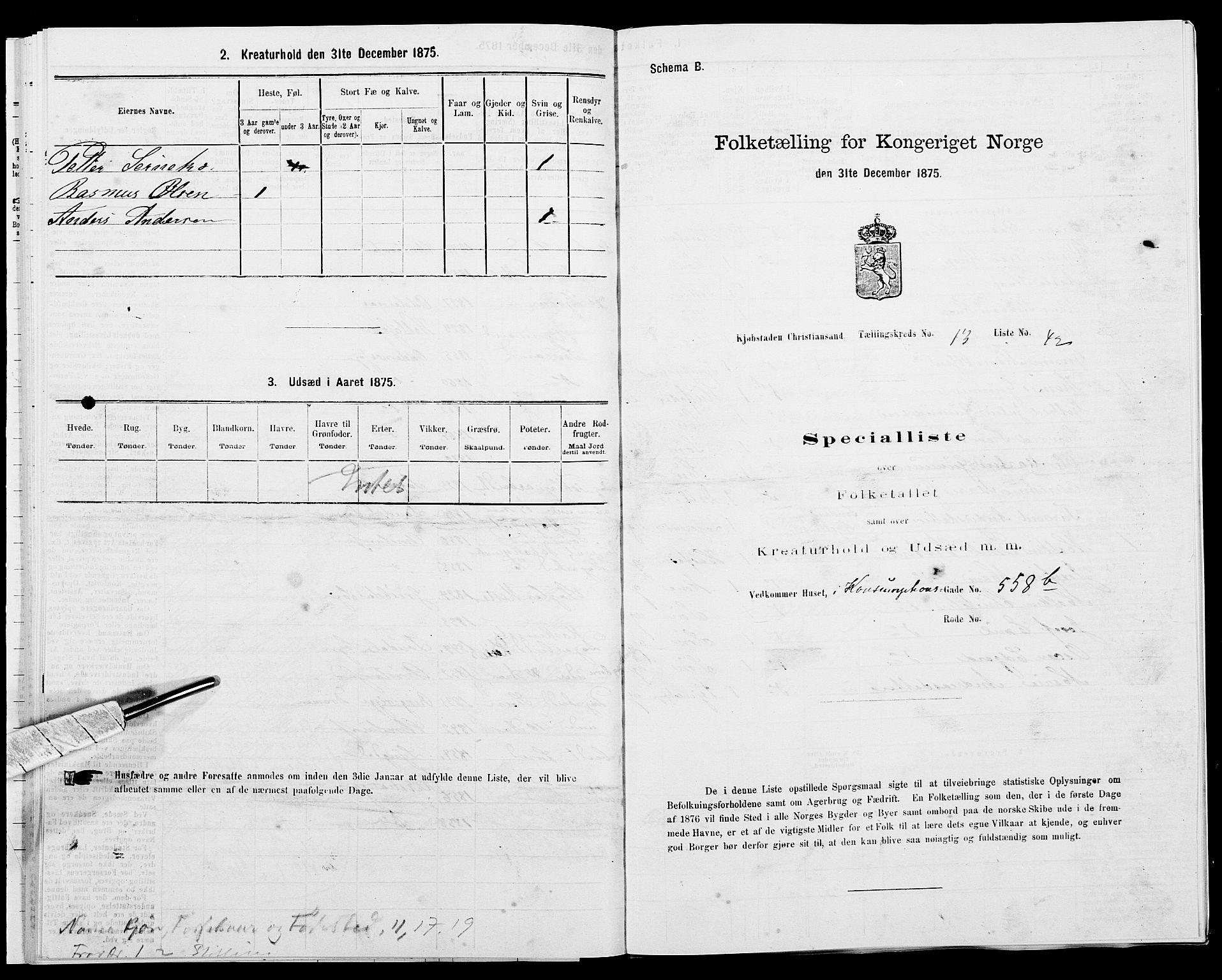 SAK, 1875 census for 1001P Kristiansand, 1875, p. 2095