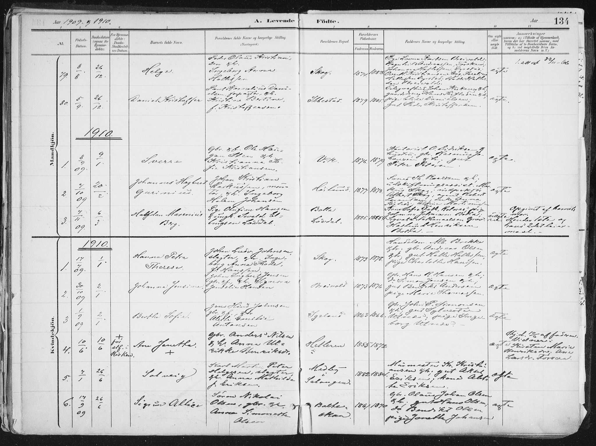 Ibestad sokneprestembete, AV/SATØ-S-0077/H/Ha/Haa/L0017kirke: Parish register (official) no. 17, 1901-1914, p. 134