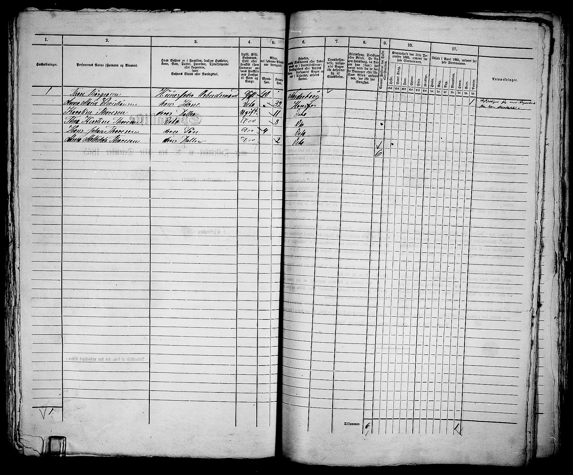 RA, 1865 census for Norderhov/Hønefoss, 1865, p. 269