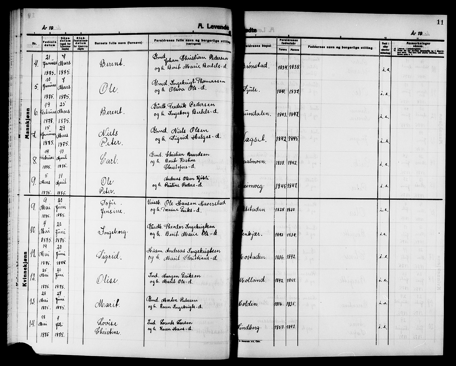 Ministerialprotokoller, klokkerbøker og fødselsregistre - Nord-Trøndelag, AV/SAT-A-1458/749/L0486: Parish register (official) no. 749D02, 1873-1887, p. 11