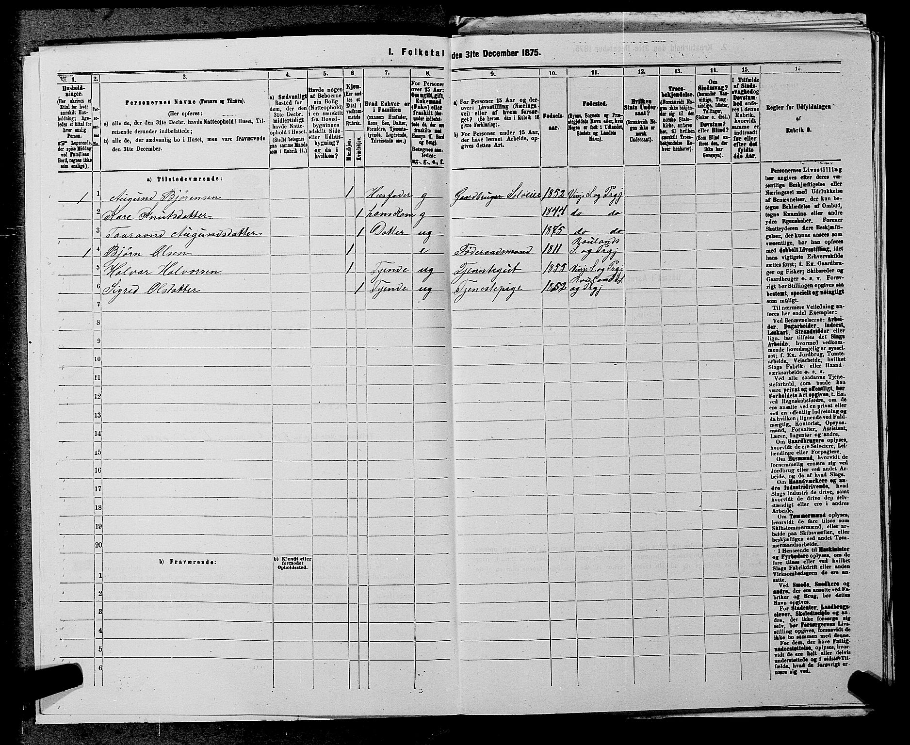 SAKO, 1875 census for 0834P Vinje, 1875, p. 306