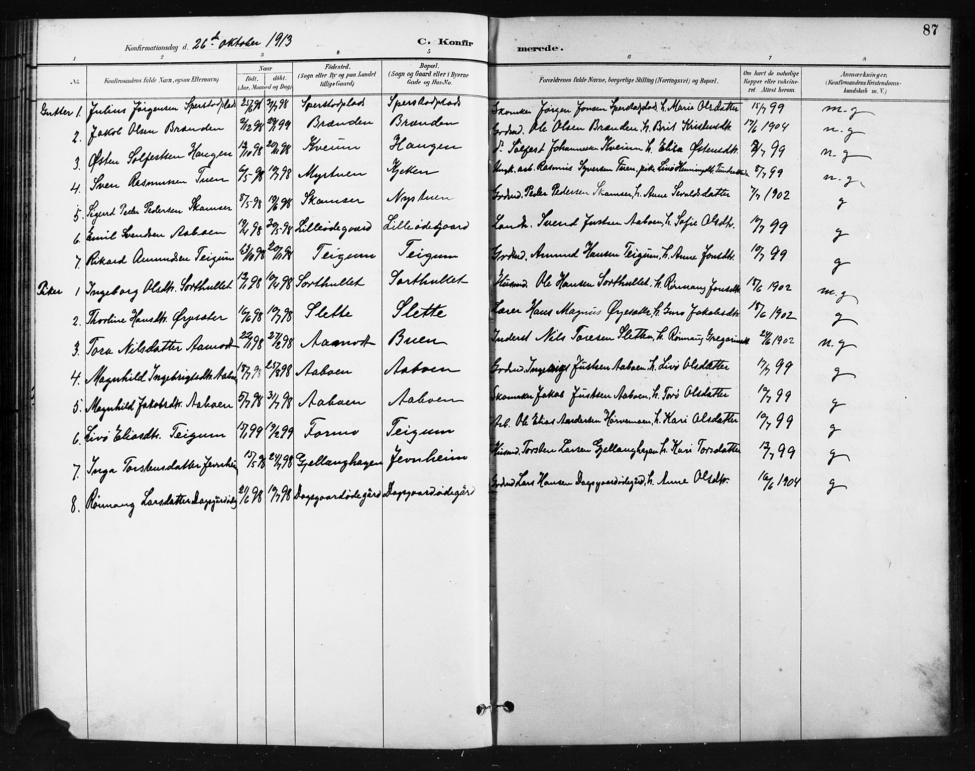 Skjåk prestekontor, SAH/PREST-072/H/Ha/Hab/L0004: Parish register (copy) no. 4, 1895-1921, p. 87