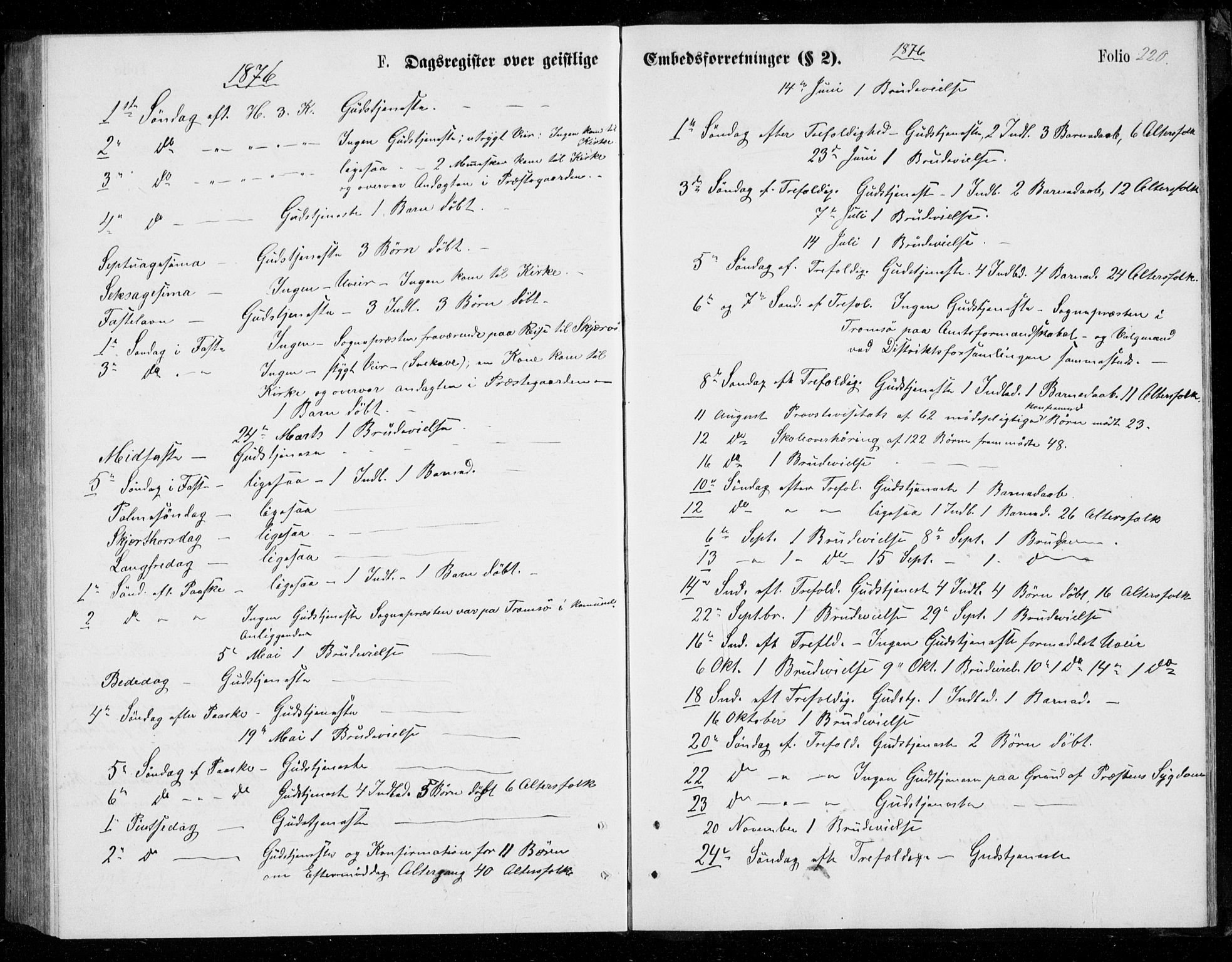 Berg sokneprestkontor, SATØ/S-1318/G/Ga/Gab/L0003klokker: Parish register (copy) no. 3, 1874-1886, p. 220