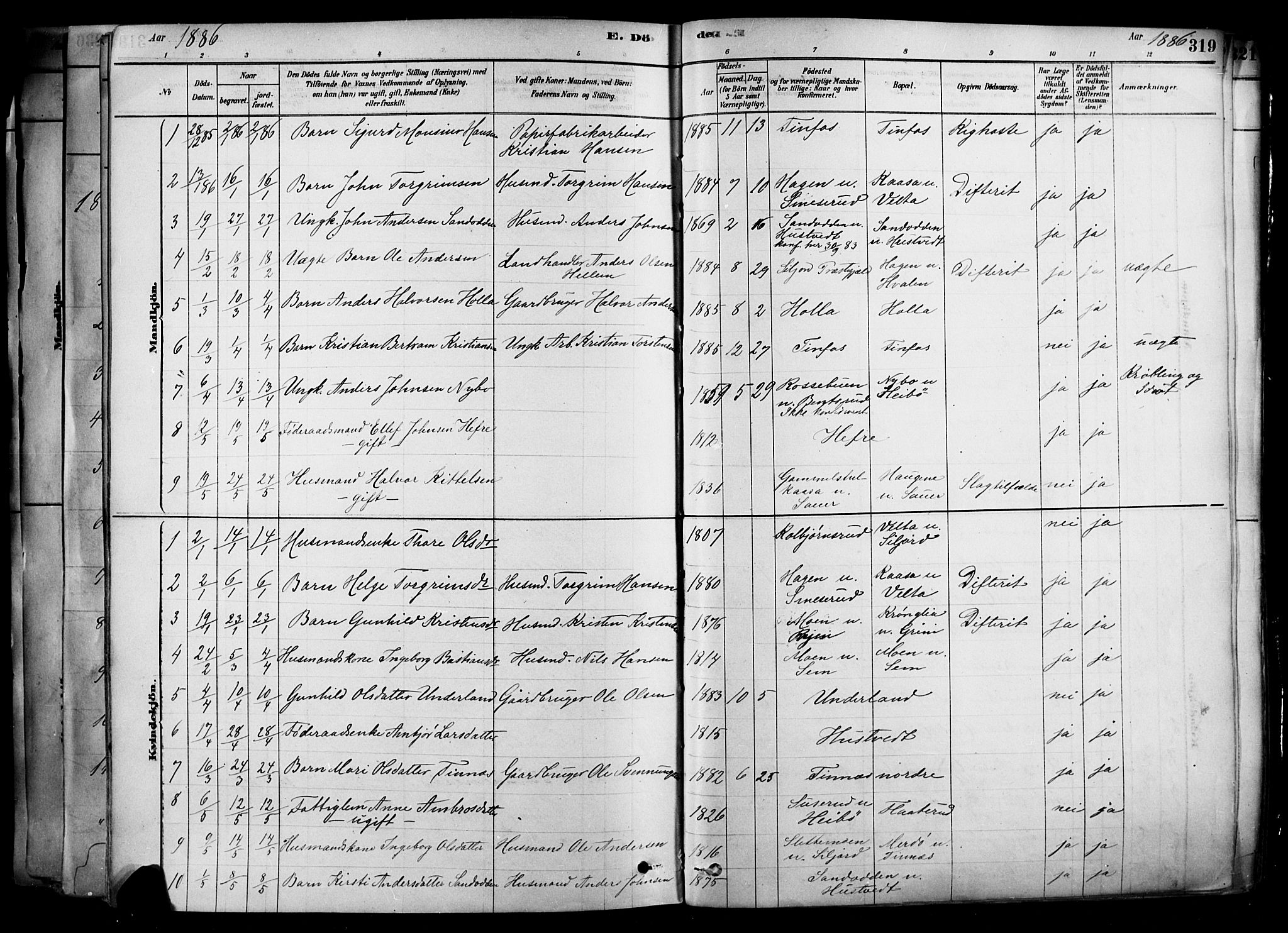 Heddal kirkebøker, SAKO/A-268/F/Fa/L0008: Parish register (official) no. I 8, 1878-1903, p. 319