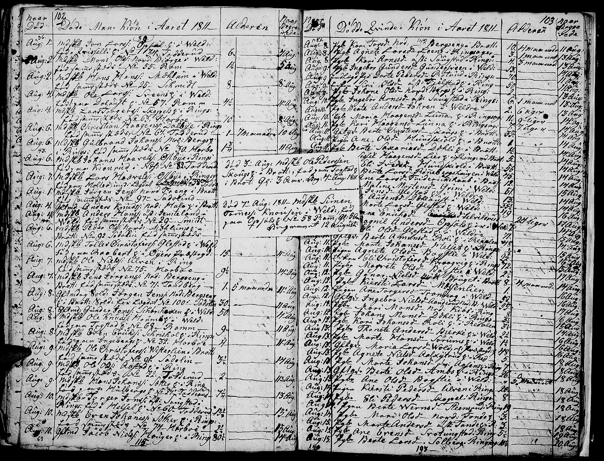 Ringsaker prestekontor, AV/SAH-PREST-014/I/Ia/L0005/0008: Parish register draft no. 5.8, 1807-1811, p. 102-103