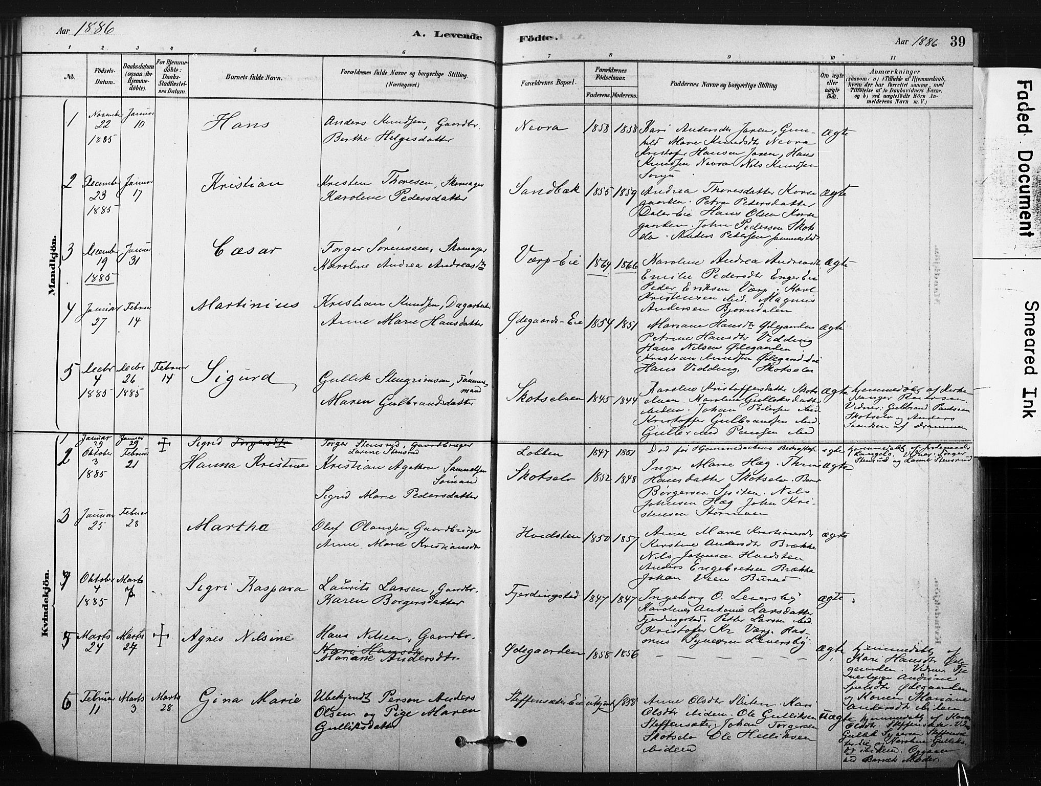 Eiker kirkebøker, AV/SAKO-A-4/F/Fc/L0001: Parish register (official) no. III 1, 1878-1889, p. 39