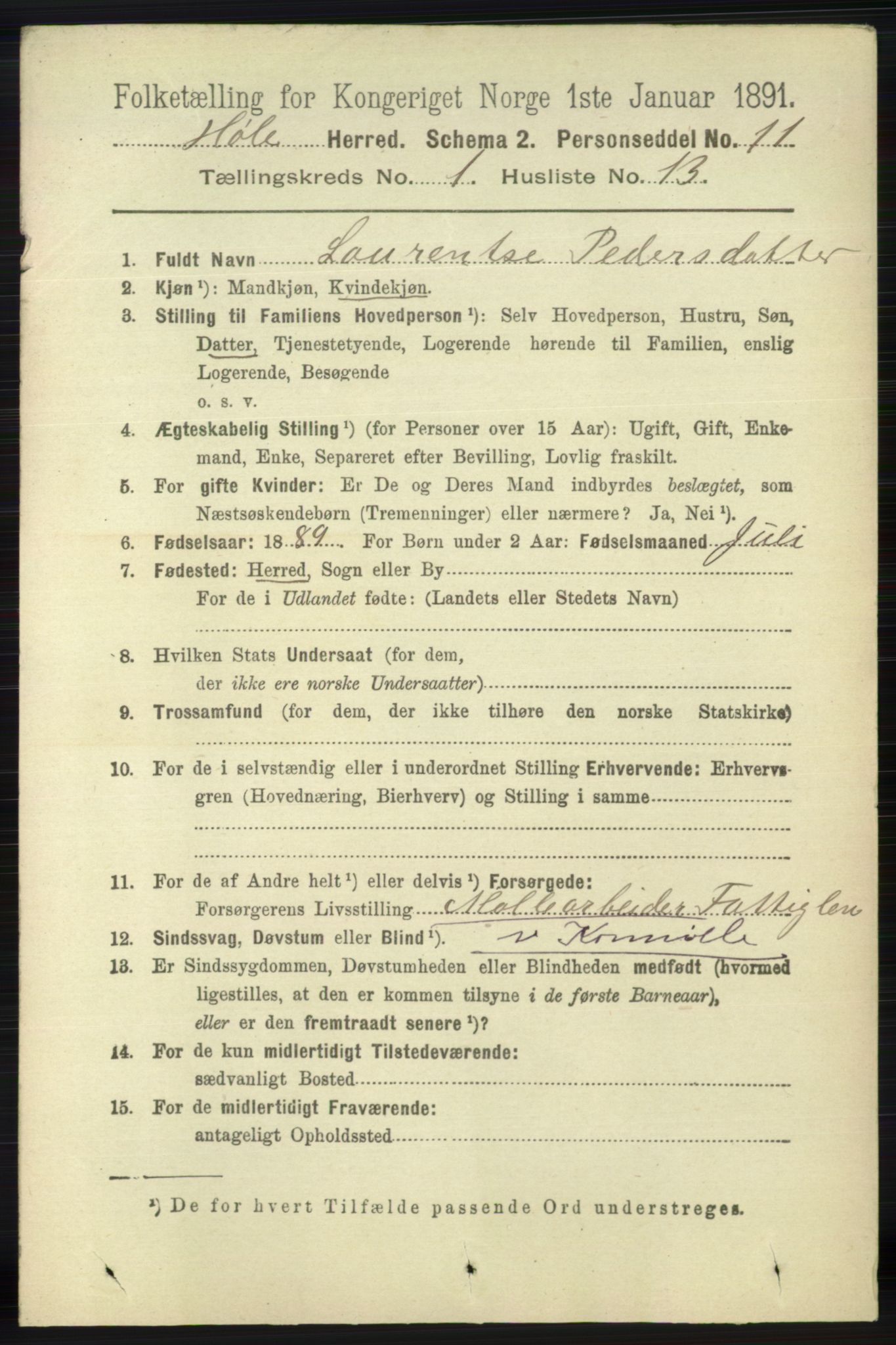 RA, 1891 census for 1128 Høle, 1891, p. 141