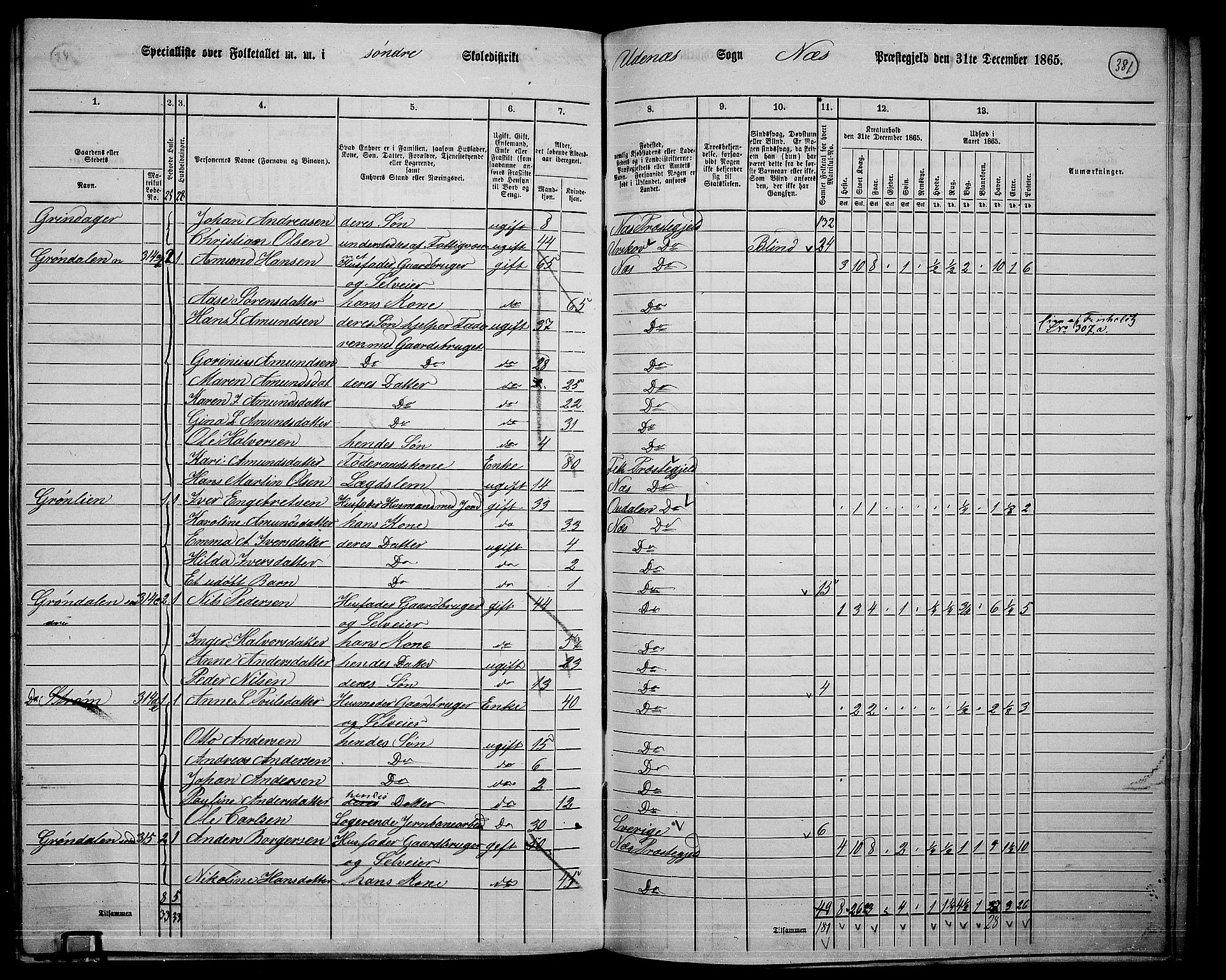 RA, 1865 census for Nes, 1865, p. 347