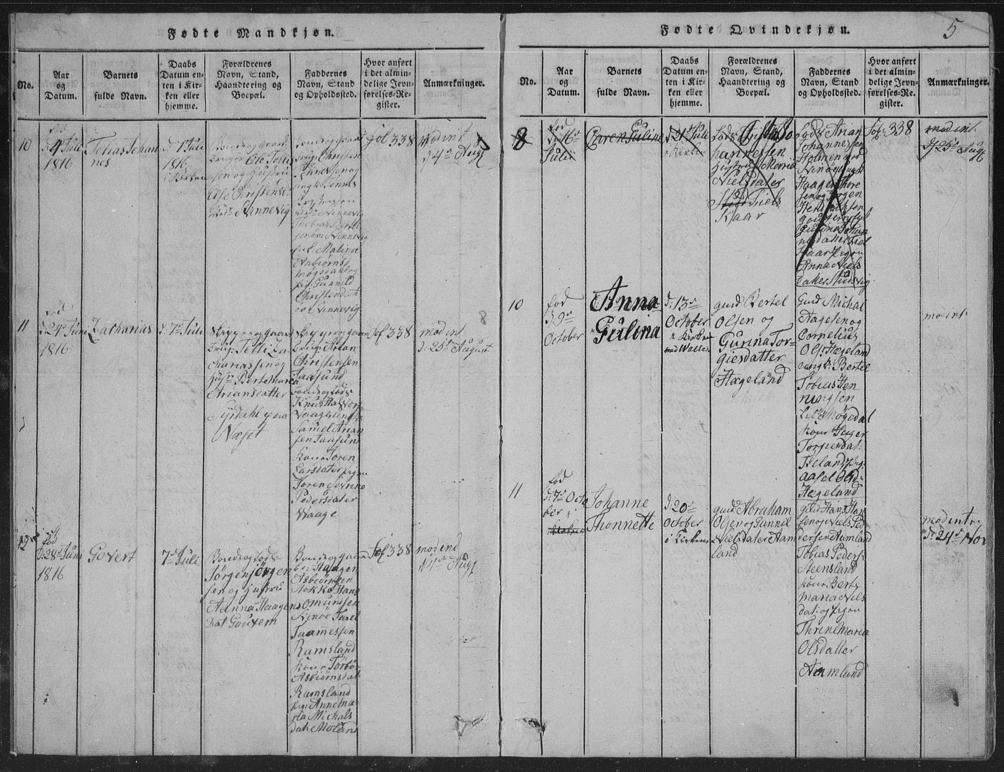 Sør-Audnedal sokneprestkontor, AV/SAK-1111-0039/F/Fb/Fba/L0001: Parish register (copy) no. B 1, 1815-1850, p. 5