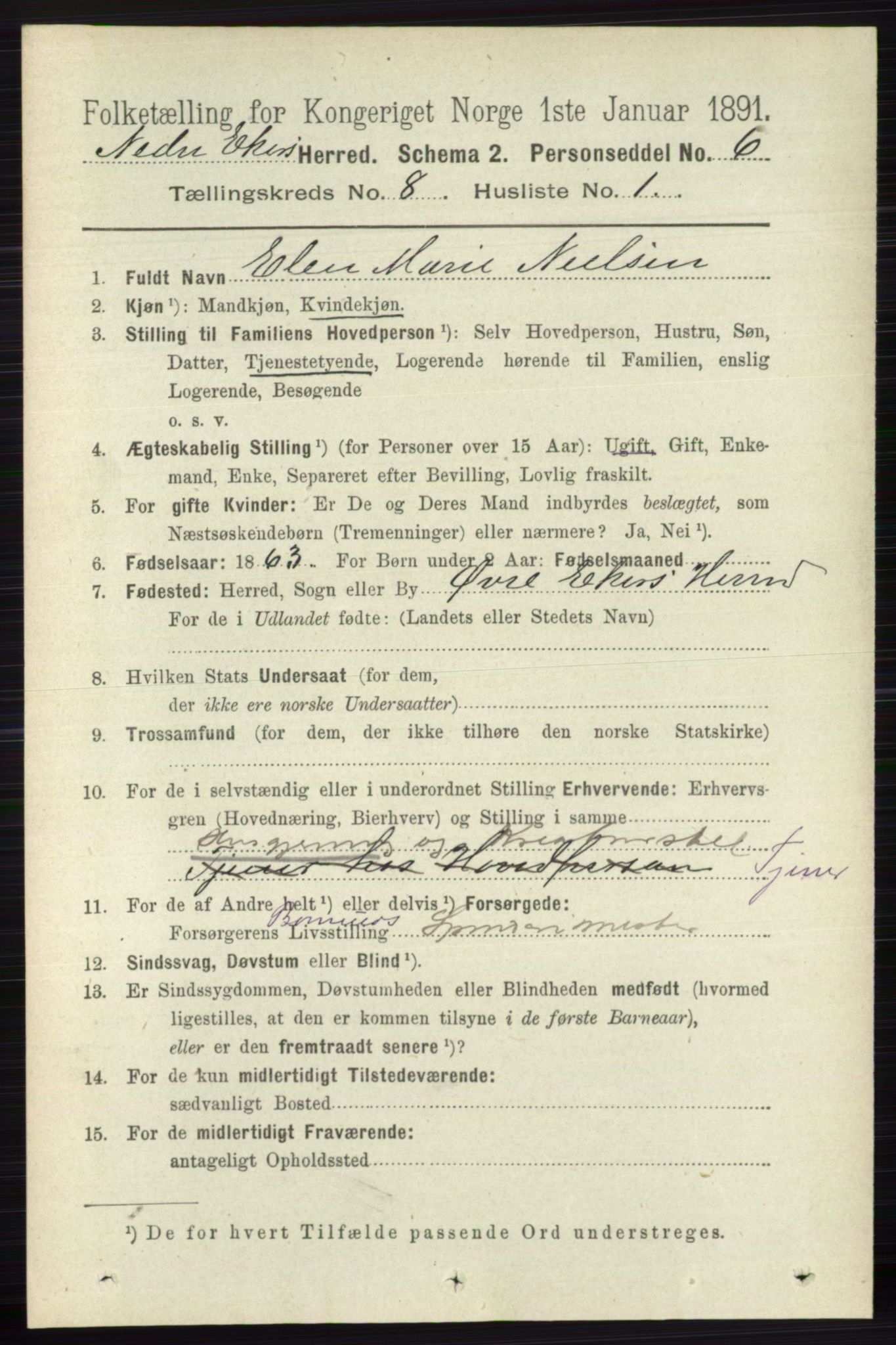 RA, 1891 census for 0625 Nedre Eiker, 1891, p. 3958