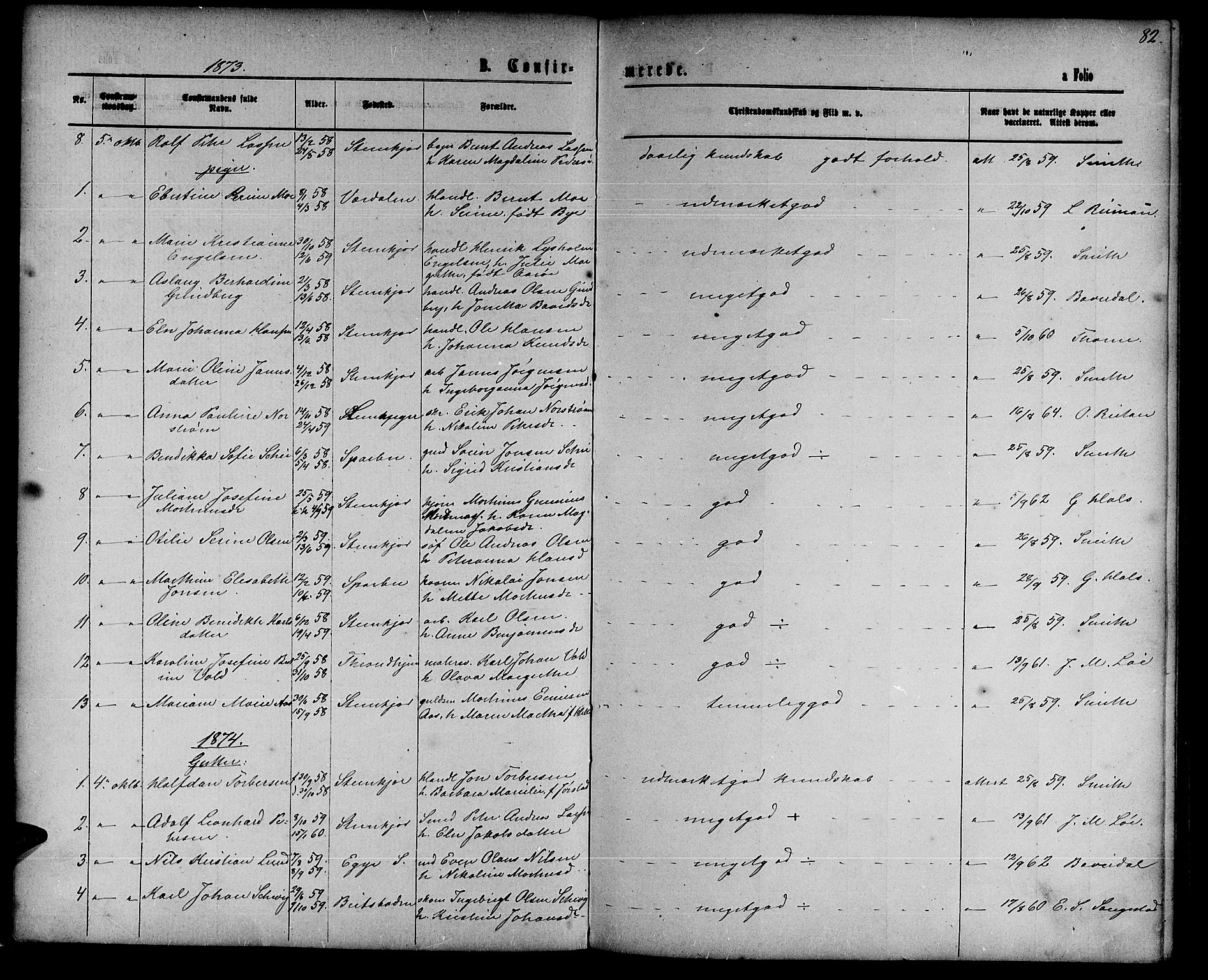 Ministerialprotokoller, klokkerbøker og fødselsregistre - Nord-Trøndelag, SAT/A-1458/739/L0373: Parish register (copy) no. 739C01, 1865-1882, p. 82