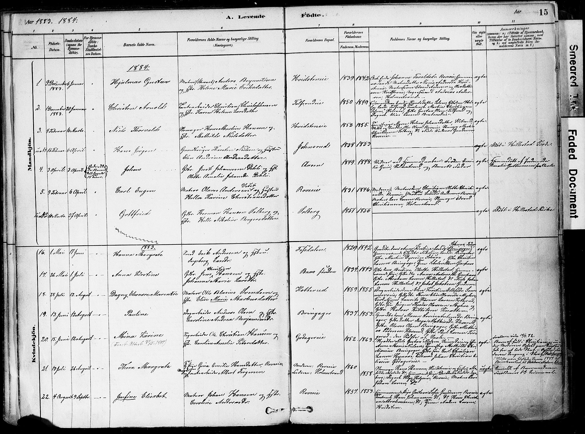 Botne kirkebøker, SAKO/A-340/F/Fa/L0007: Parish register (official) no. I 7, 1878-1910, p. 15