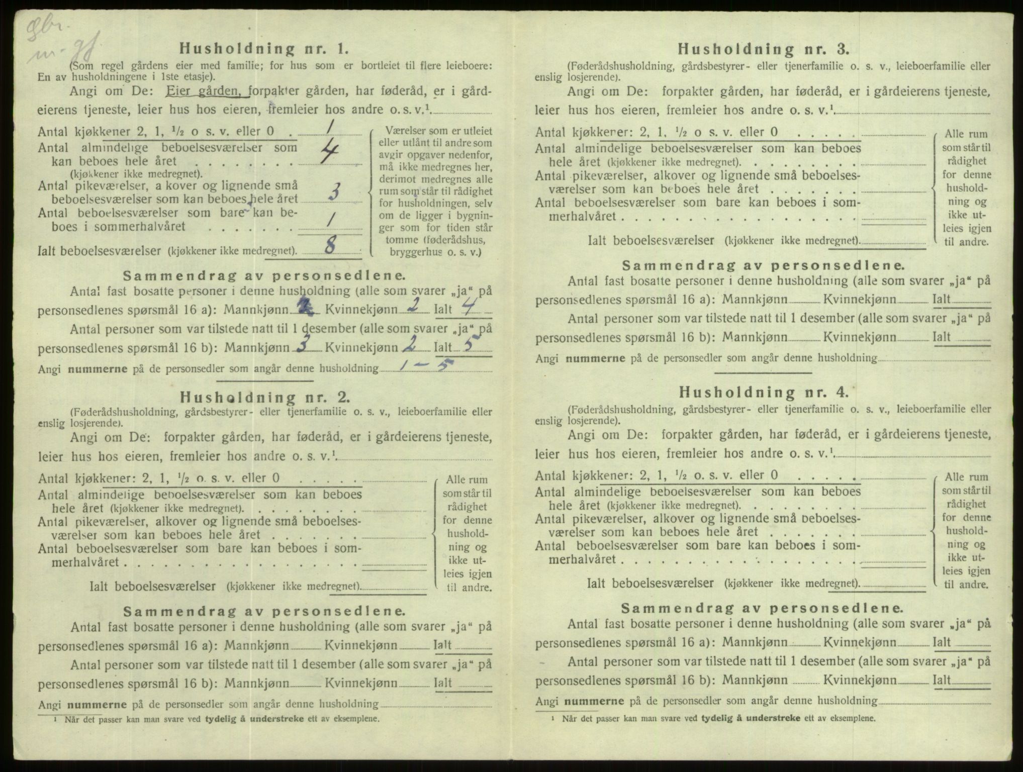 SAB, 1920 census for Hornindal, 1920, p. 110