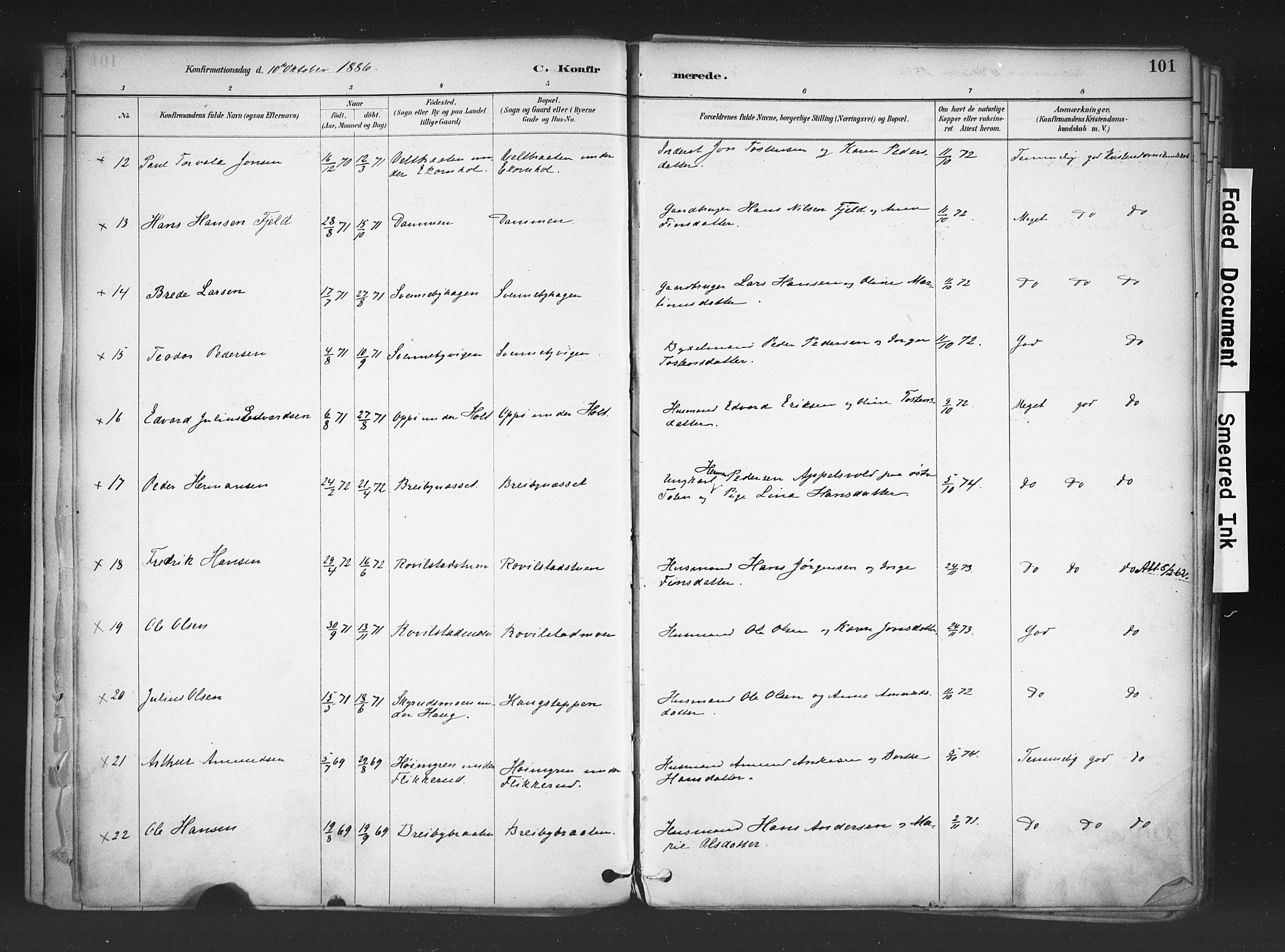 Nord-Odal prestekontor, AV/SAH-PREST-032/H/Ha/Haa/L0006: Parish register (official) no. 6, 1886-1901, p. 101