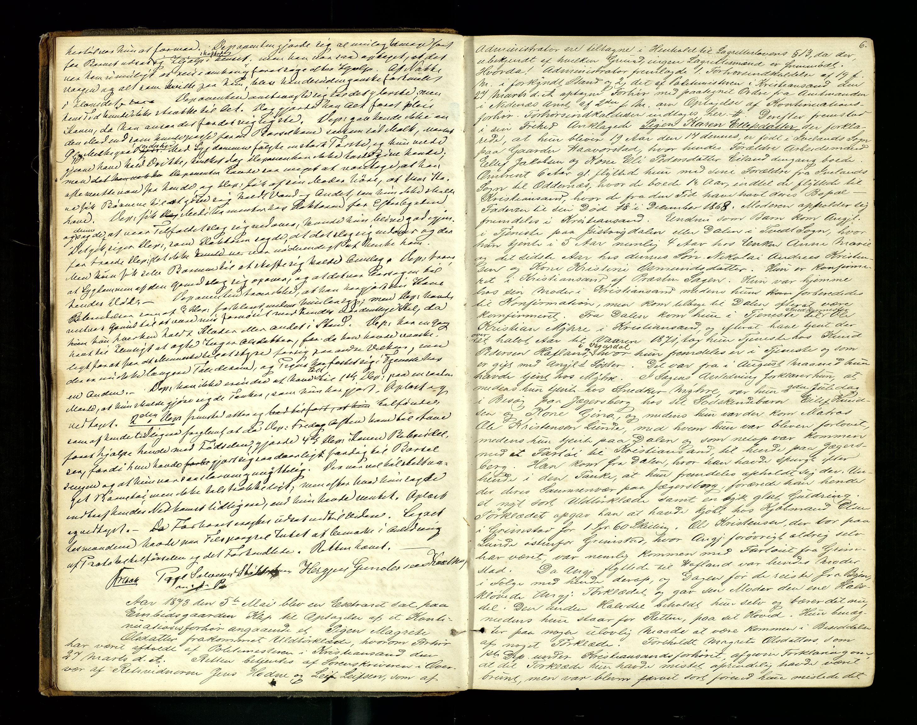 Setesdal sorenskriveri, AV/SAK-1221-0011/F/Fb/L0008: Ekstrarettsprotokoll nr 8, 1873-1876, p. 6