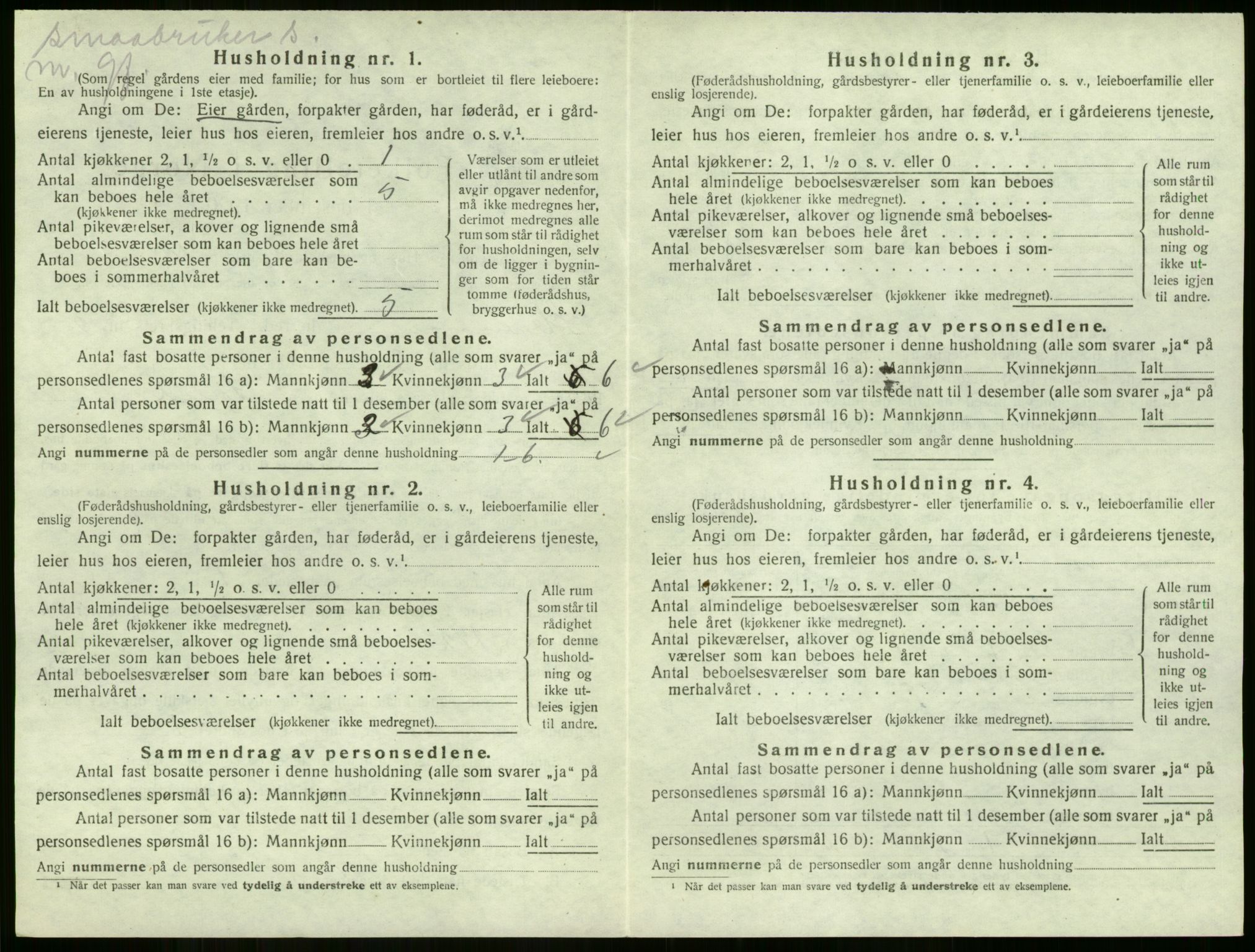 SAKO, 1920 census for Strømm, 1920, p. 158