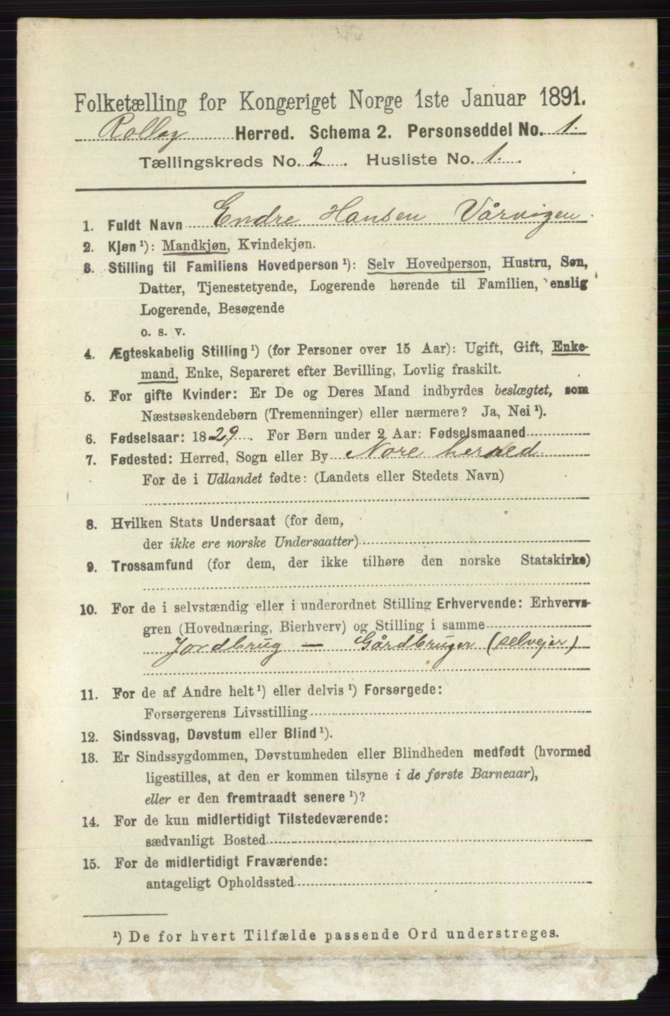 RA, 1891 census for 0632 Rollag, 1891, p. 487