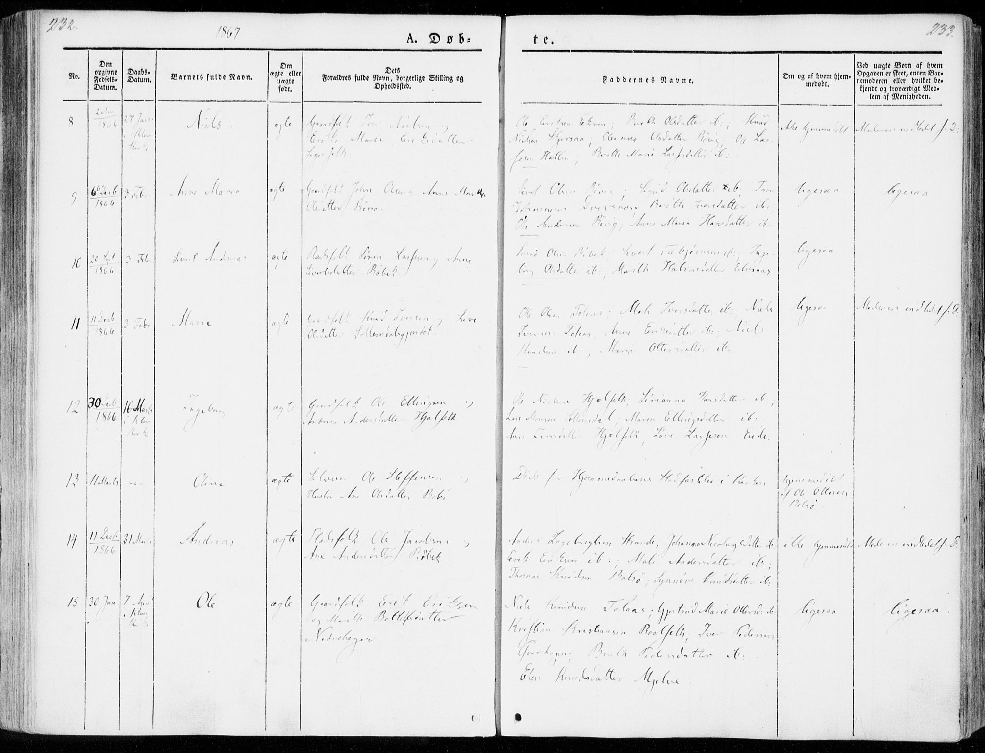 Ministerialprotokoller, klokkerbøker og fødselsregistre - Møre og Romsdal, AV/SAT-A-1454/555/L0653: Parish register (official) no. 555A04, 1843-1869, p. 232-233