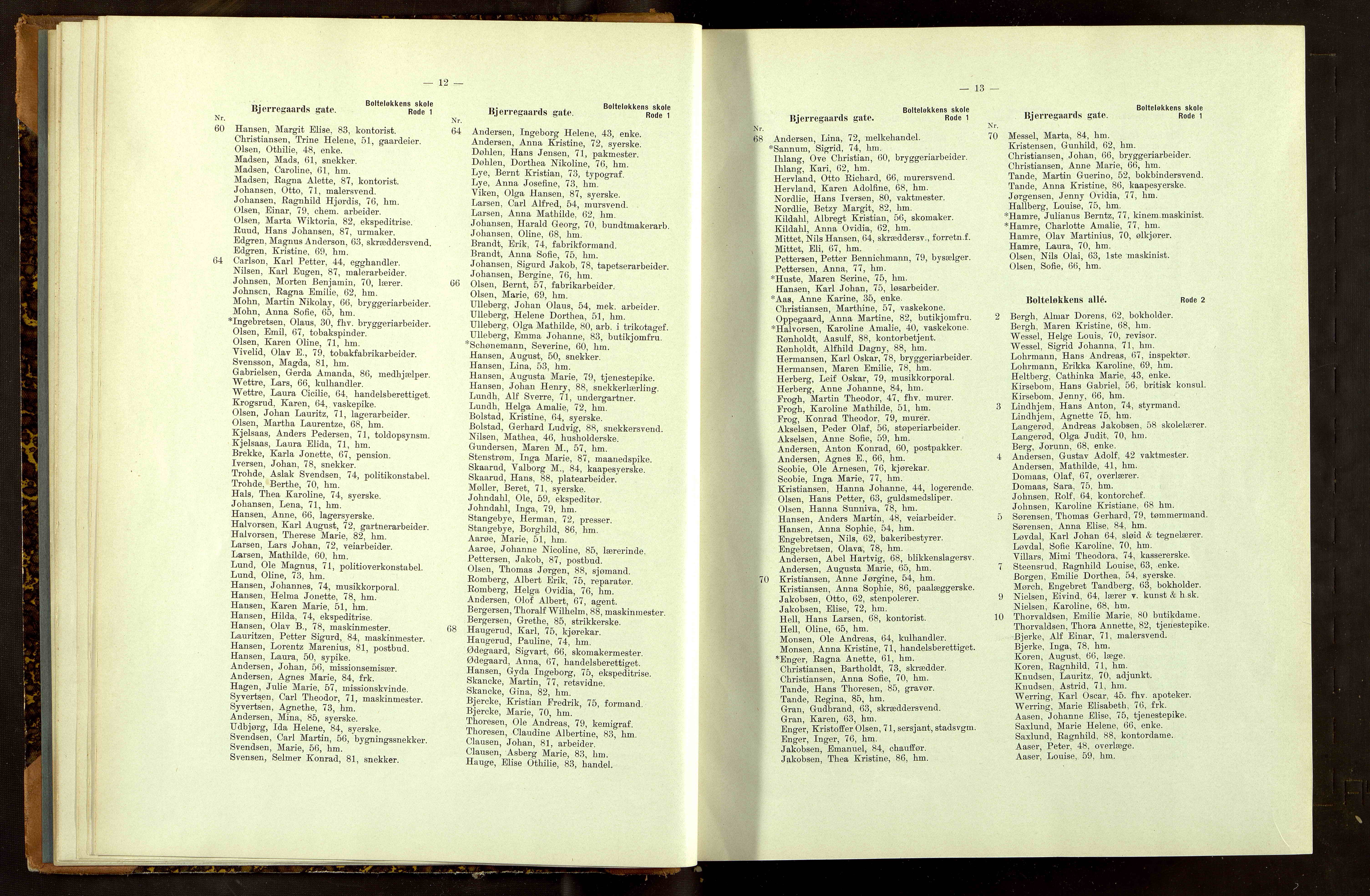 Folkeregisteret ( Valgstyret ), OBA/A-20059, 1913, p. 12-13