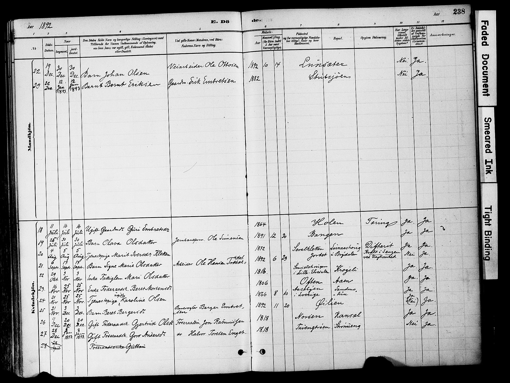 Tynset prestekontor, AV/SAH-PREST-058/H/Ha/Haa/L0022: Parish register (official) no. 22, 1880-1899, p. 238