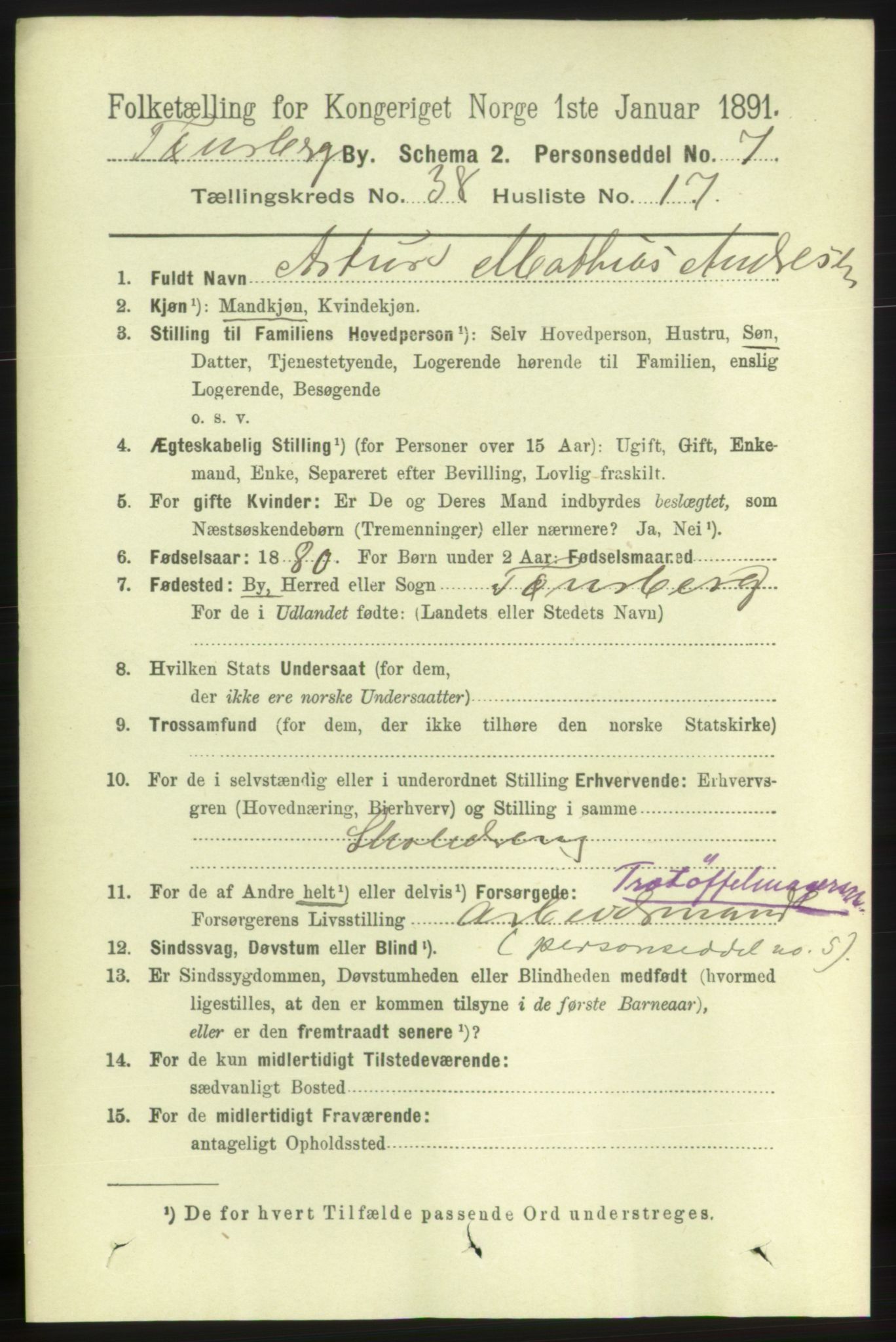 RA, 1891 census for 0705 Tønsberg, 1891, p. 8264