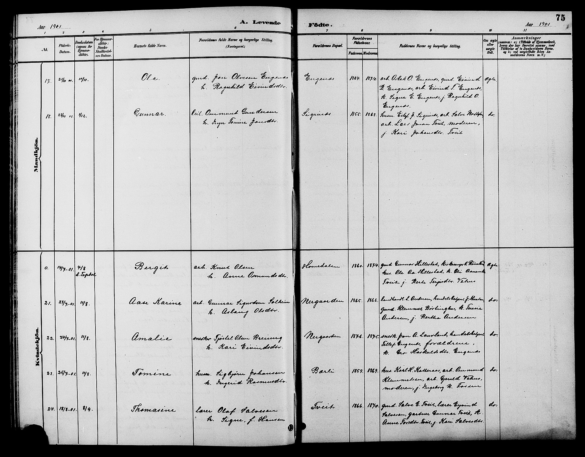 Åmli sokneprestkontor, SAK/1111-0050/F/Fb/Fbc/L0004: Parish register (copy) no. B 4, 1889-1902, p. 75