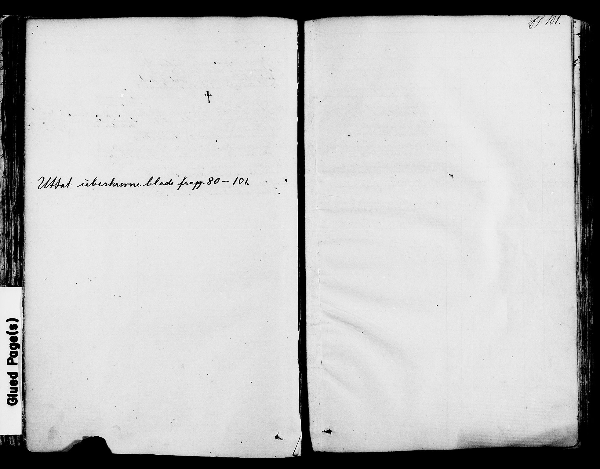 Ringsaker prestekontor, SAH/PREST-014/K/Ka/L0008: Parish register (official) no. 8, 1837-1850, p. 101