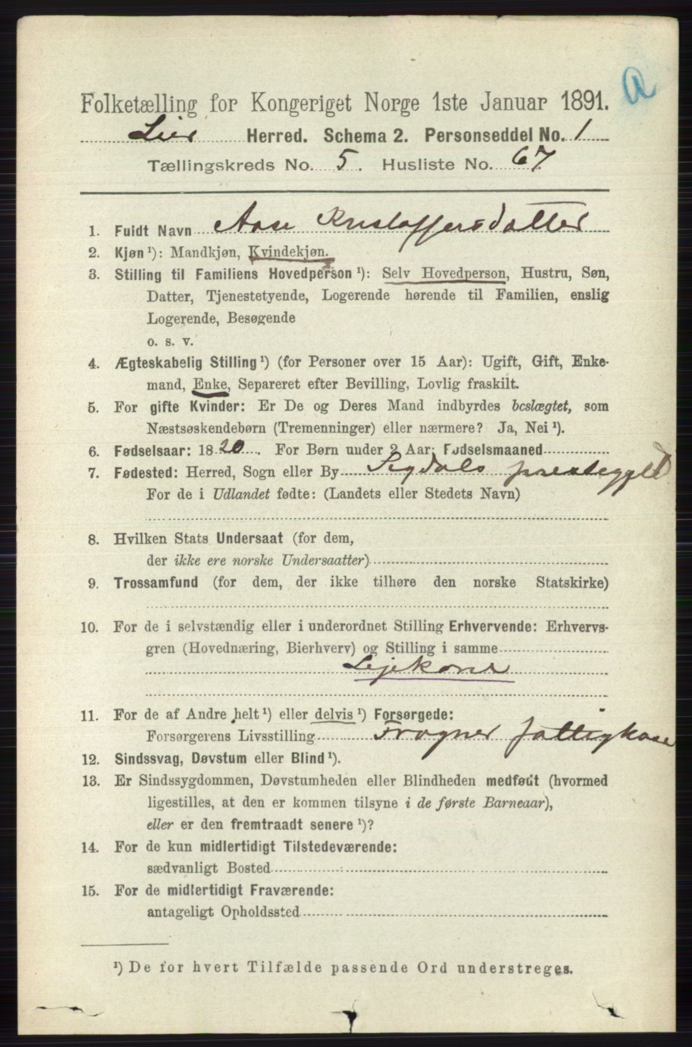 RA, 1891 census for 0626 Lier, 1891, p. 3654