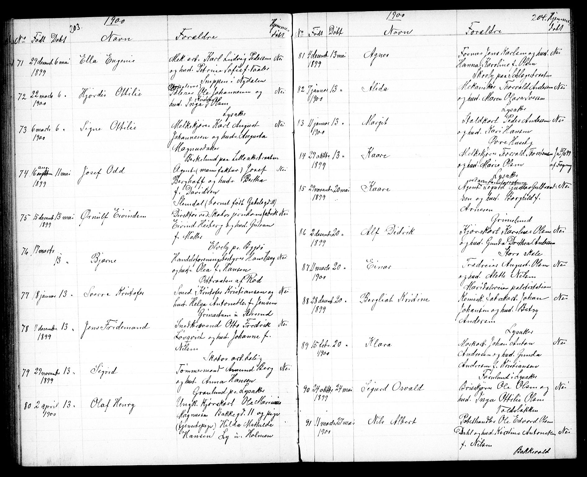 Vestre Aker prestekontor Kirkebøker, AV/SAO-A-10025/G/Ga/L0004: Parish register (copy) no. I 4, 1891-1903, p. 203-204