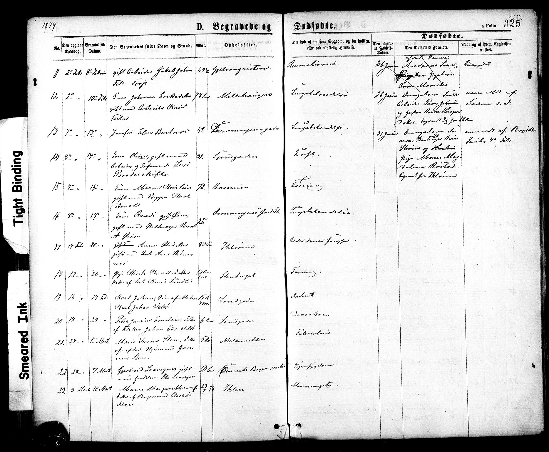 Ministerialprotokoller, klokkerbøker og fødselsregistre - Sør-Trøndelag, AV/SAT-A-1456/602/L0118: Parish register (official) no. 602A16, 1873-1879, p. 325