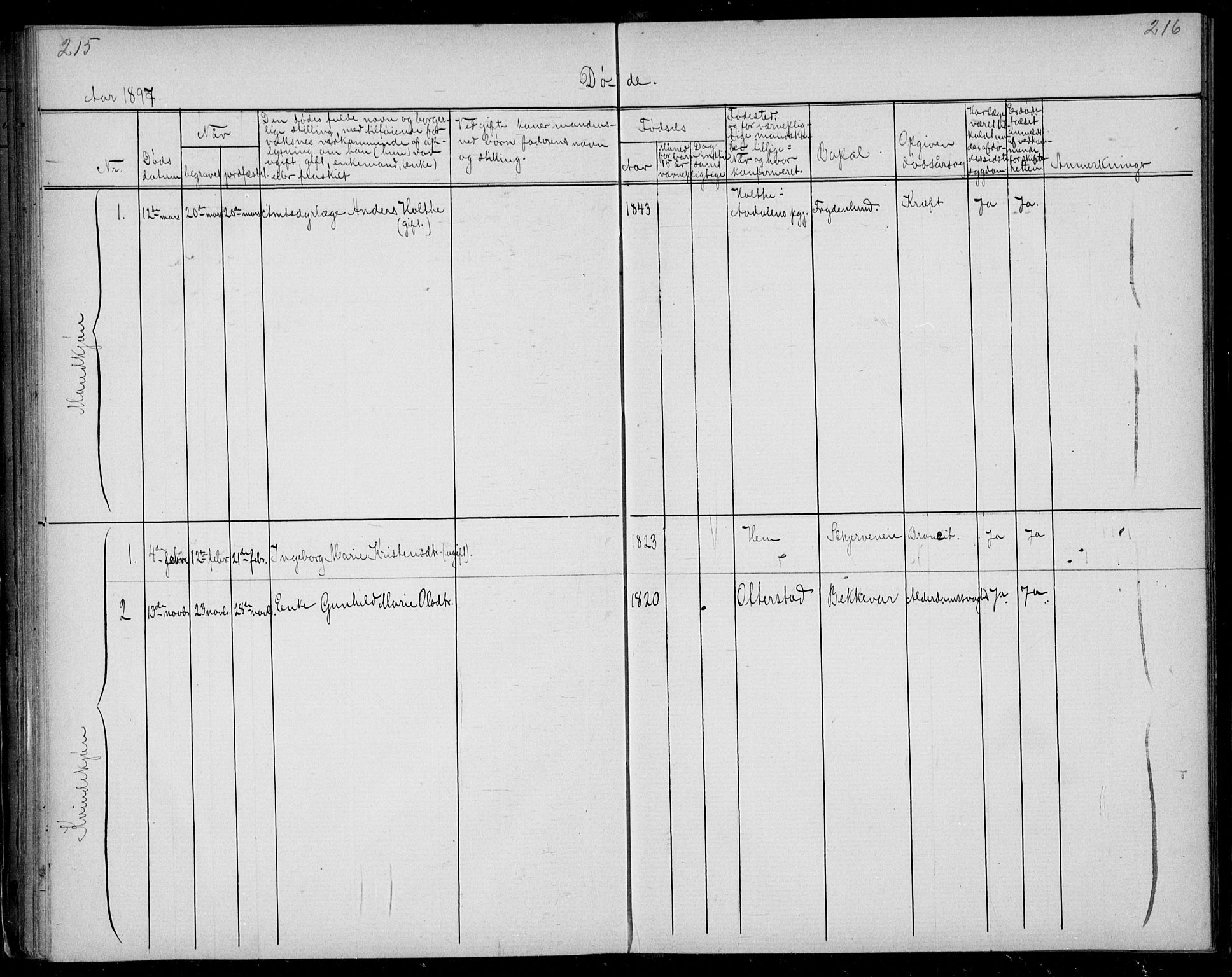 Lardal kirkebøker, AV/SAKO-A-350/G/Gb/L0001: Parish register (copy) no. II 1, 1864-1899, p. 215-216