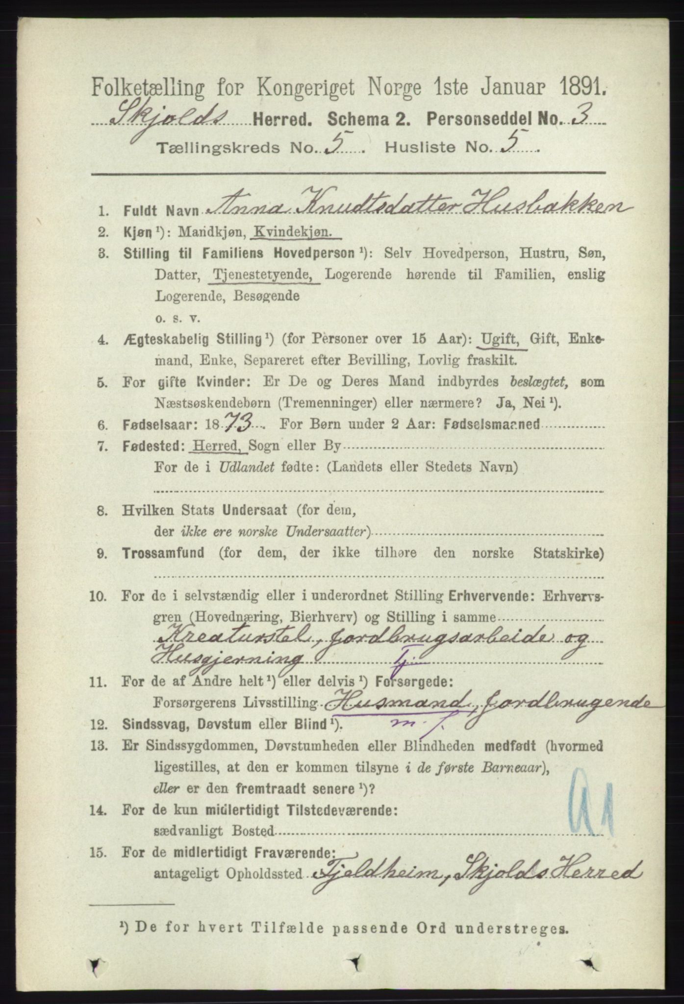 RA, 1891 census for 1154 Skjold, 1891, p. 787