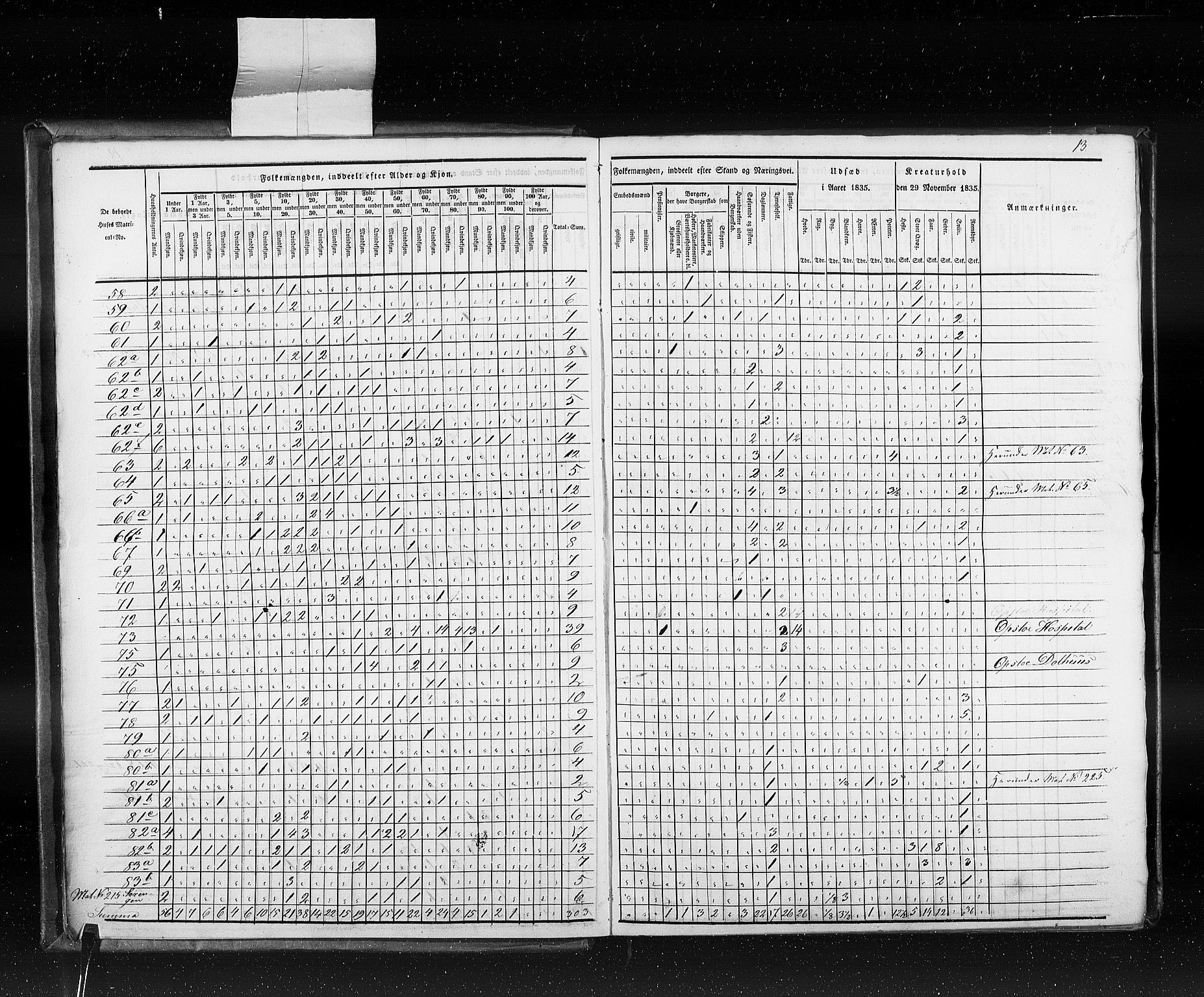 RA, Census 1835, vol. 10: Kjøpsteder og ladesteder: Fredrikshald-Kragerø, 1835, p. 13