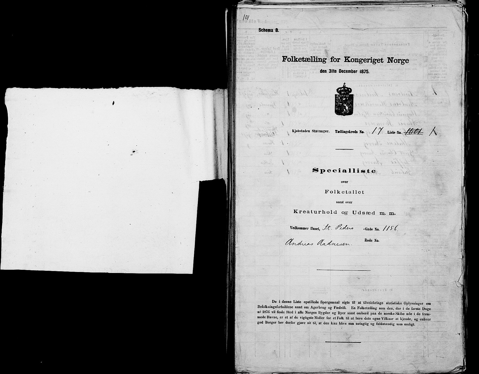 SAST, 1875 census for 1103 Stavanger, 1875, p. 3366