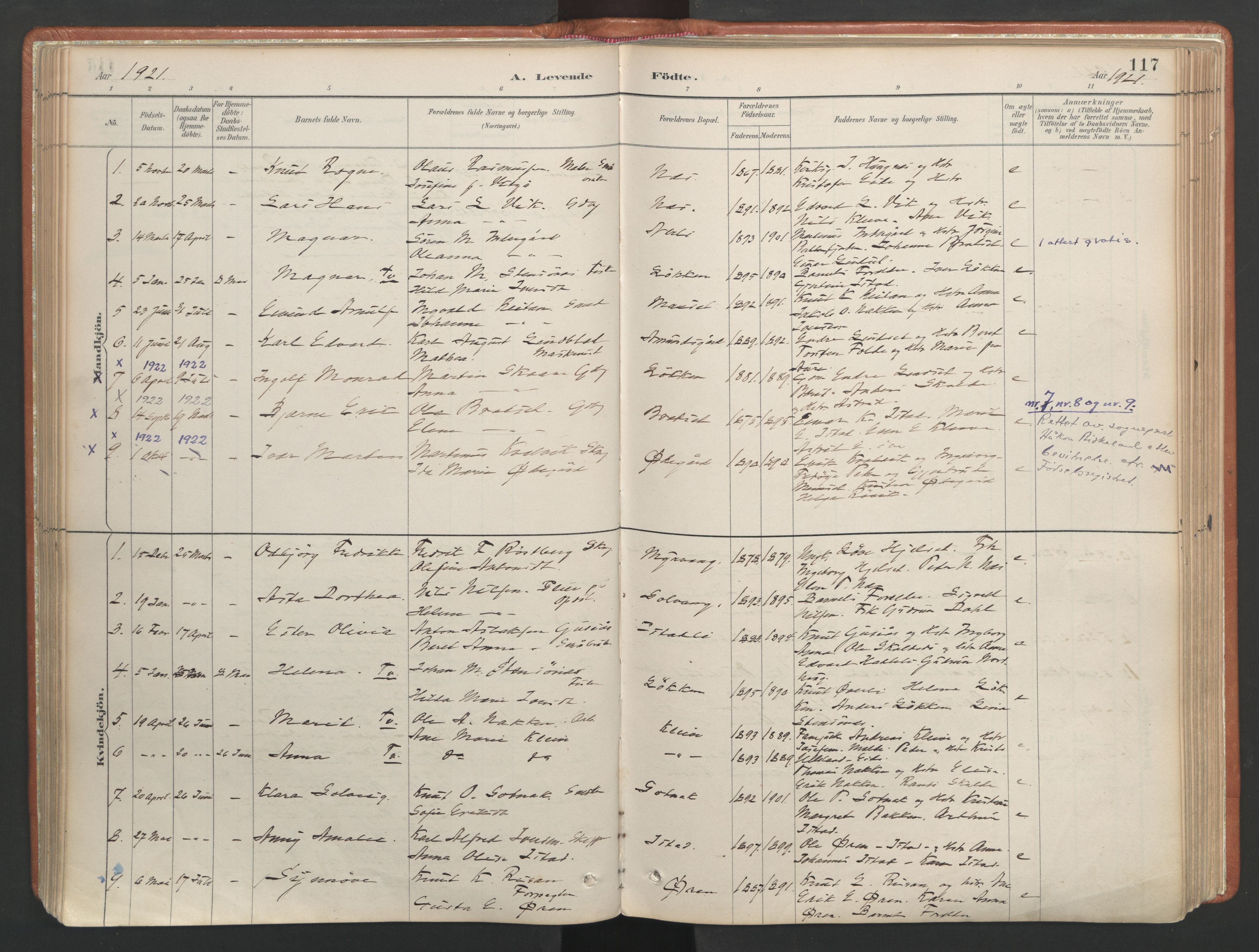 Ministerialprotokoller, klokkerbøker og fødselsregistre - Møre og Romsdal, AV/SAT-A-1454/557/L0682: Parish register (official) no. 557A04, 1887-1970, p. 117