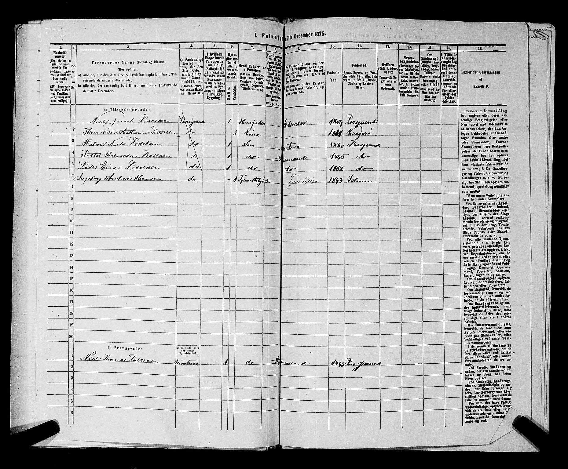 SAKO, 1875 census for 0805P Porsgrunn, 1875, p. 984