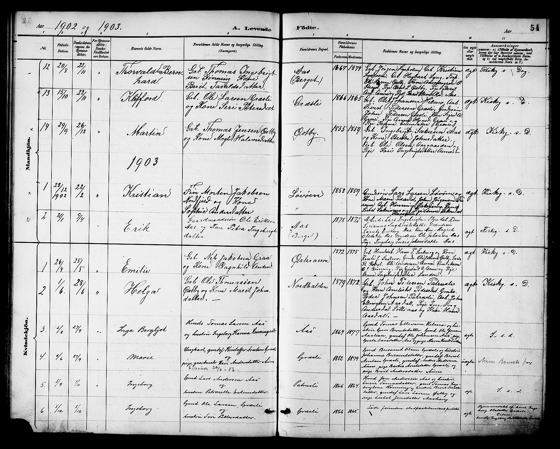 Ministerialprotokoller, klokkerbøker og fødselsregistre - Sør-Trøndelag, AV/SAT-A-1456/698/L1167: Parish register (copy) no. 698C04, 1888-1907, p. 54