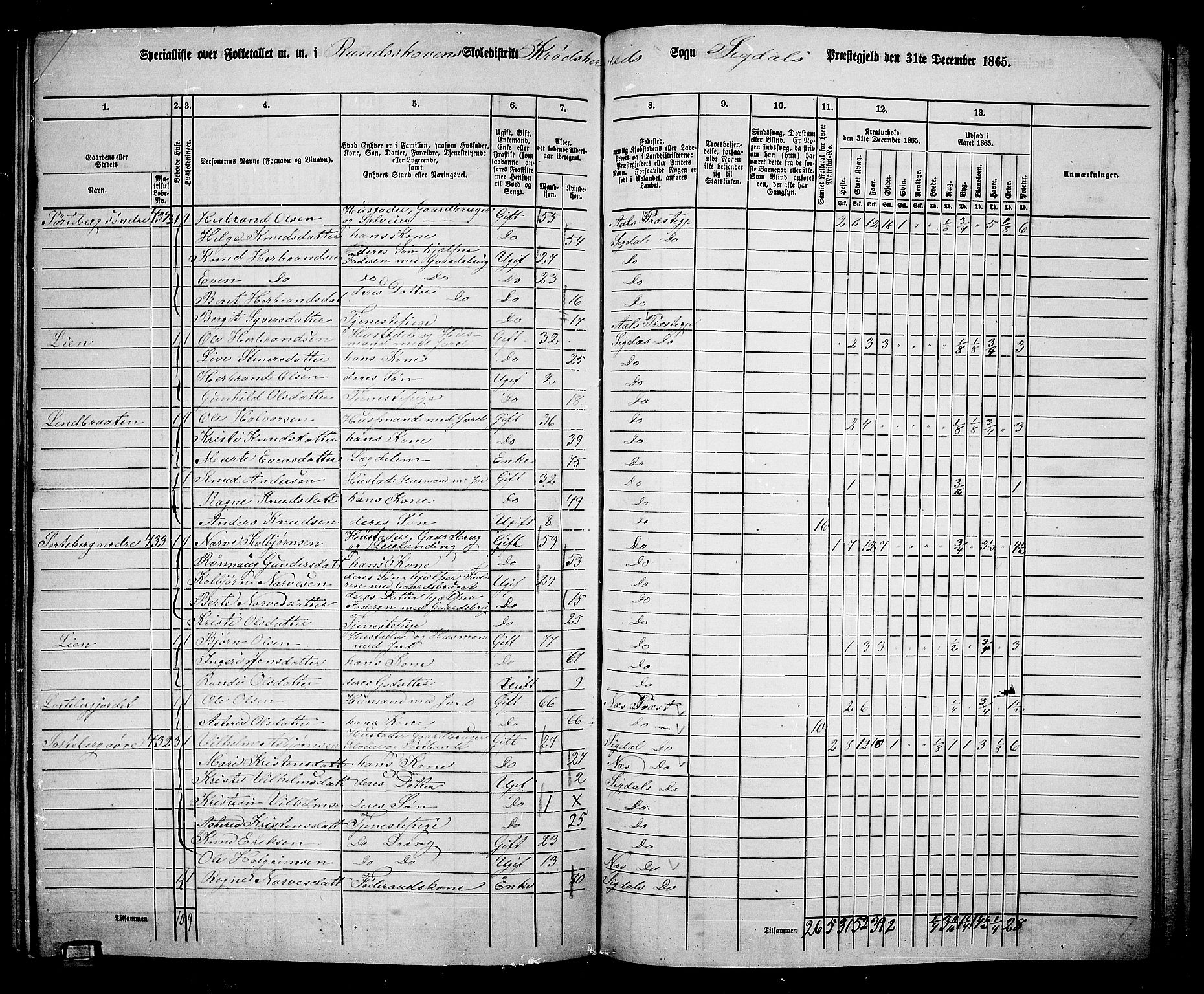 RA, 1865 census for Sigdal, 1865, p. 256