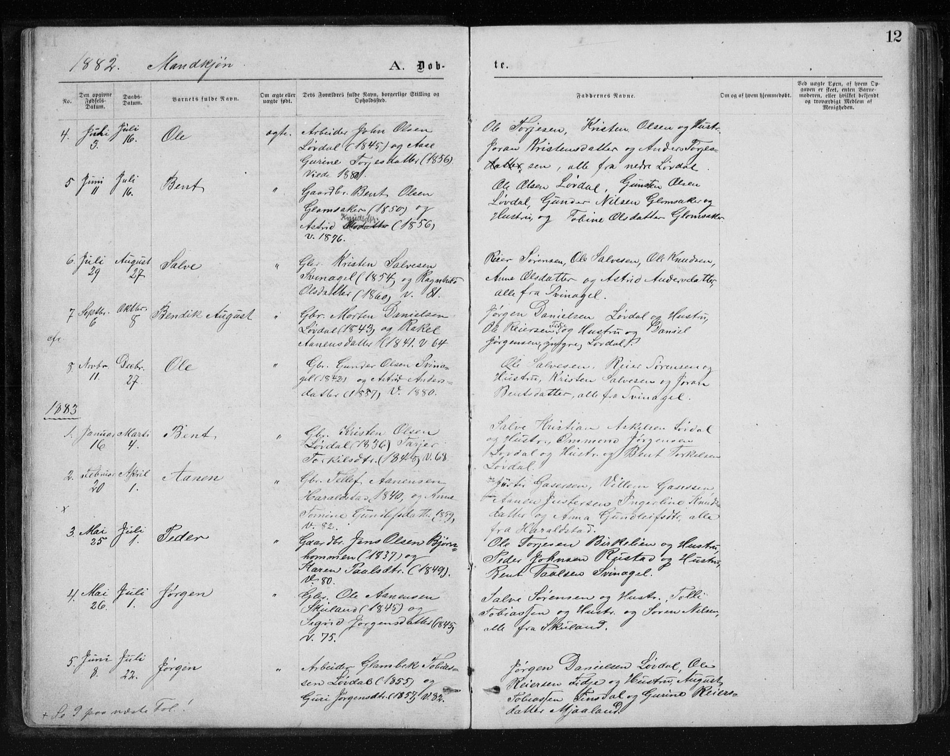 Holum sokneprestkontor, AV/SAK-1111-0022/F/Fb/Fbb/L0003: Parish register (copy) no. B 3, 1875-1898, p. 12