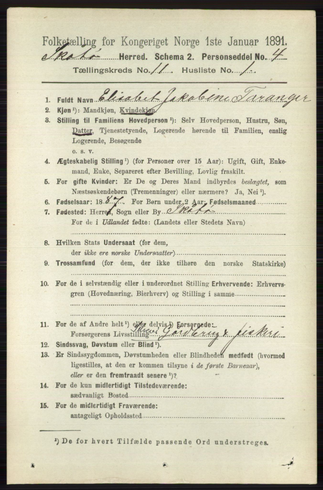 RA, 1891 census for 0815 Skåtøy, 1891, p. 4230