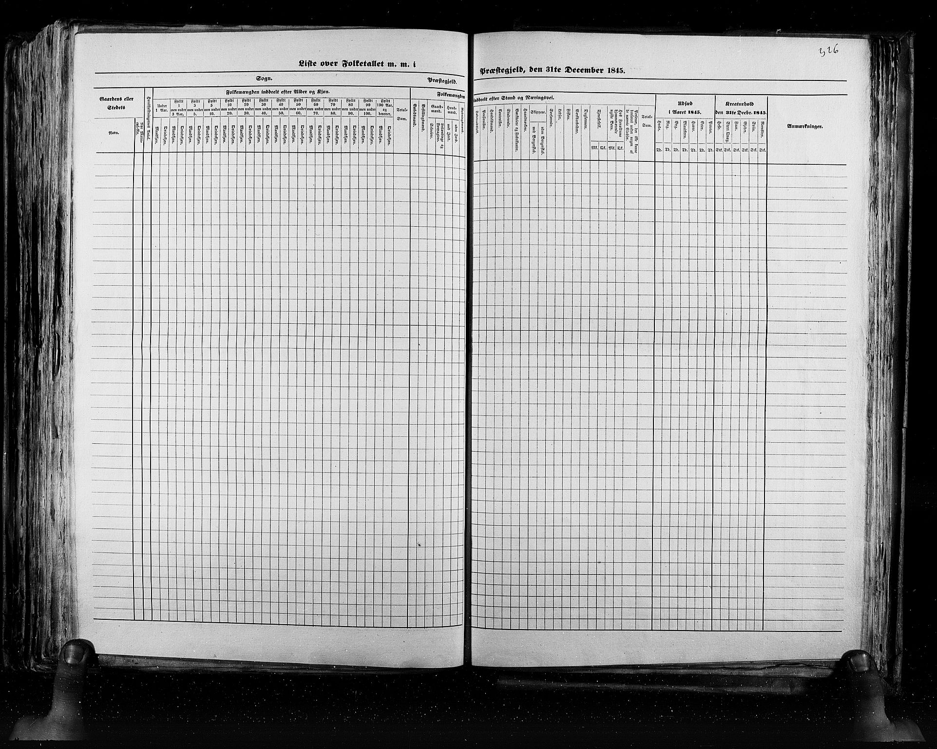 RA, Census 1845, vol. 5: Bratsberg amt og Nedenes og Råbyggelaget amt, 1845, p. 326